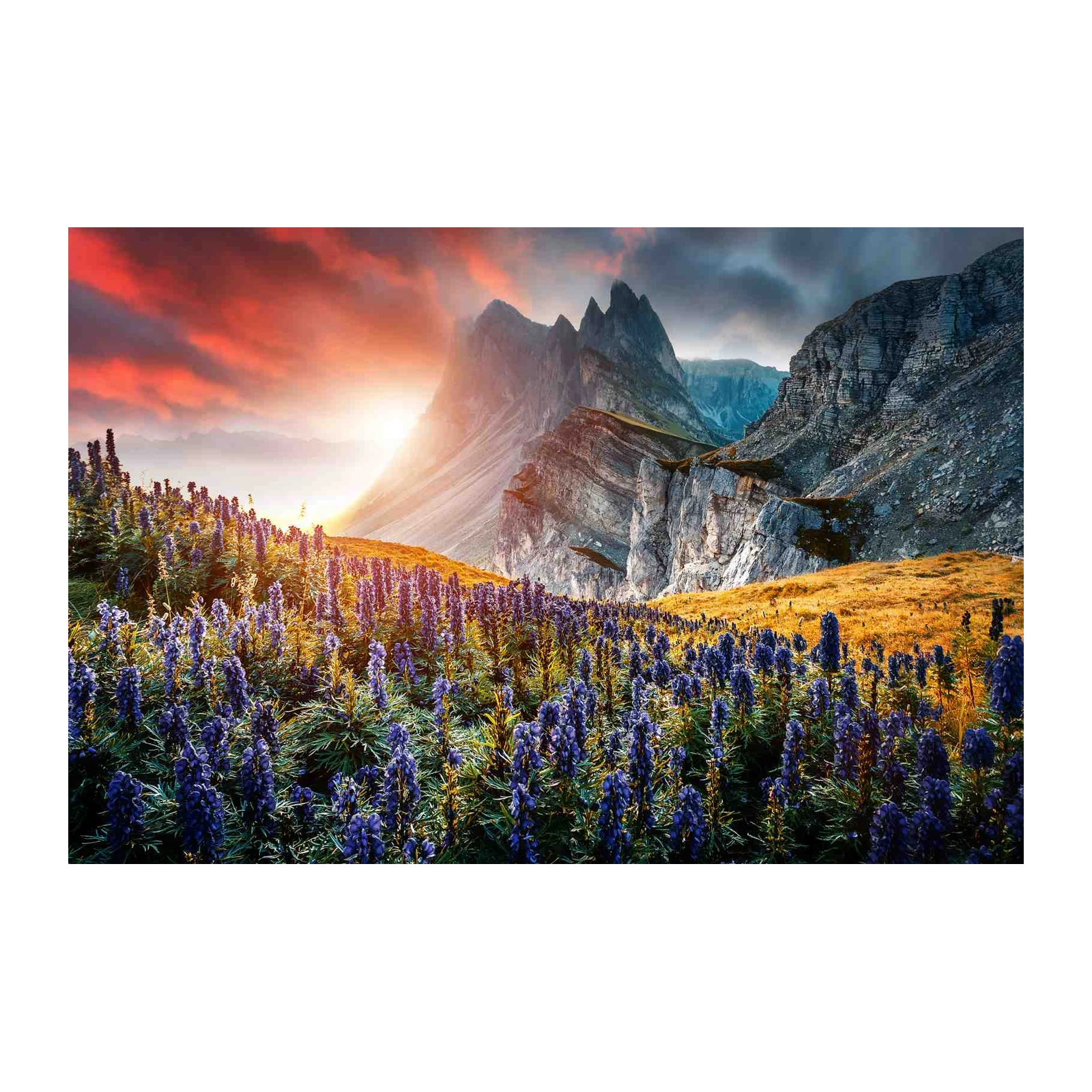 Majestic Mountain Sunset Wildflower Wall Art