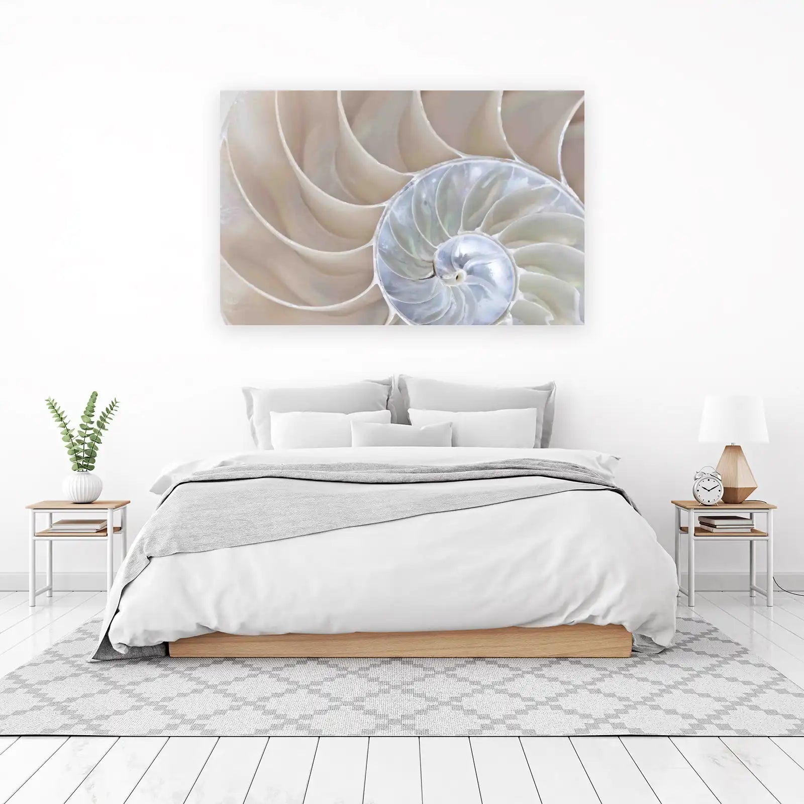 Nautilus Shell Art: Coastal Home Decor Wall Art