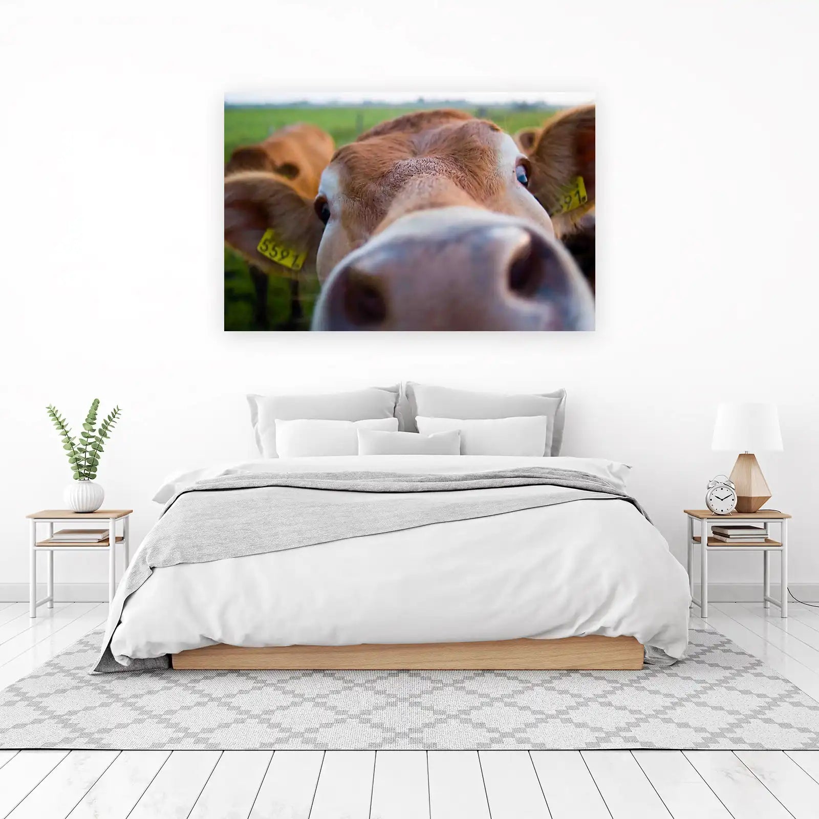 Curious Cow Close-Up Farm Animal Wall Art