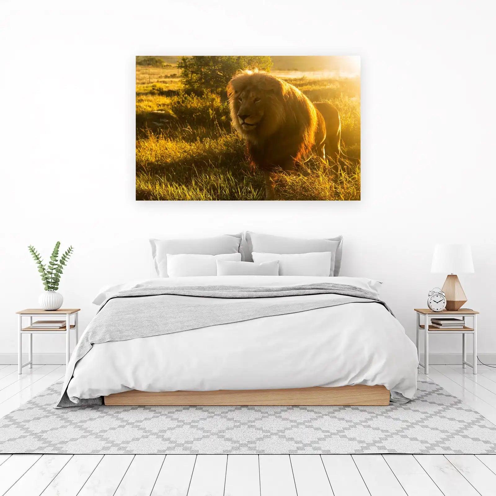 Majestic Lion Sunset African Safari Wall Art
