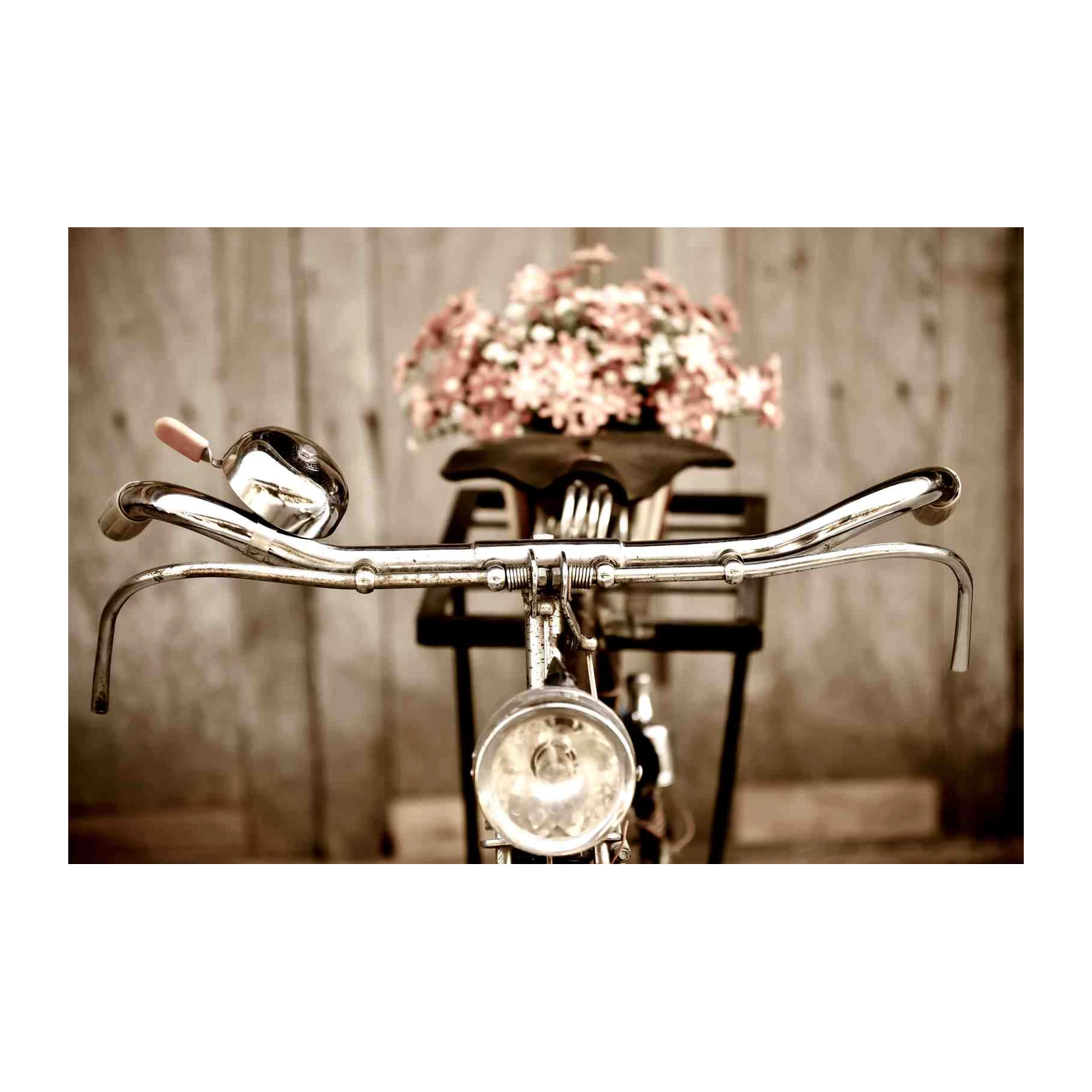 Vintage Bicycle Floral Blooms Wall Art