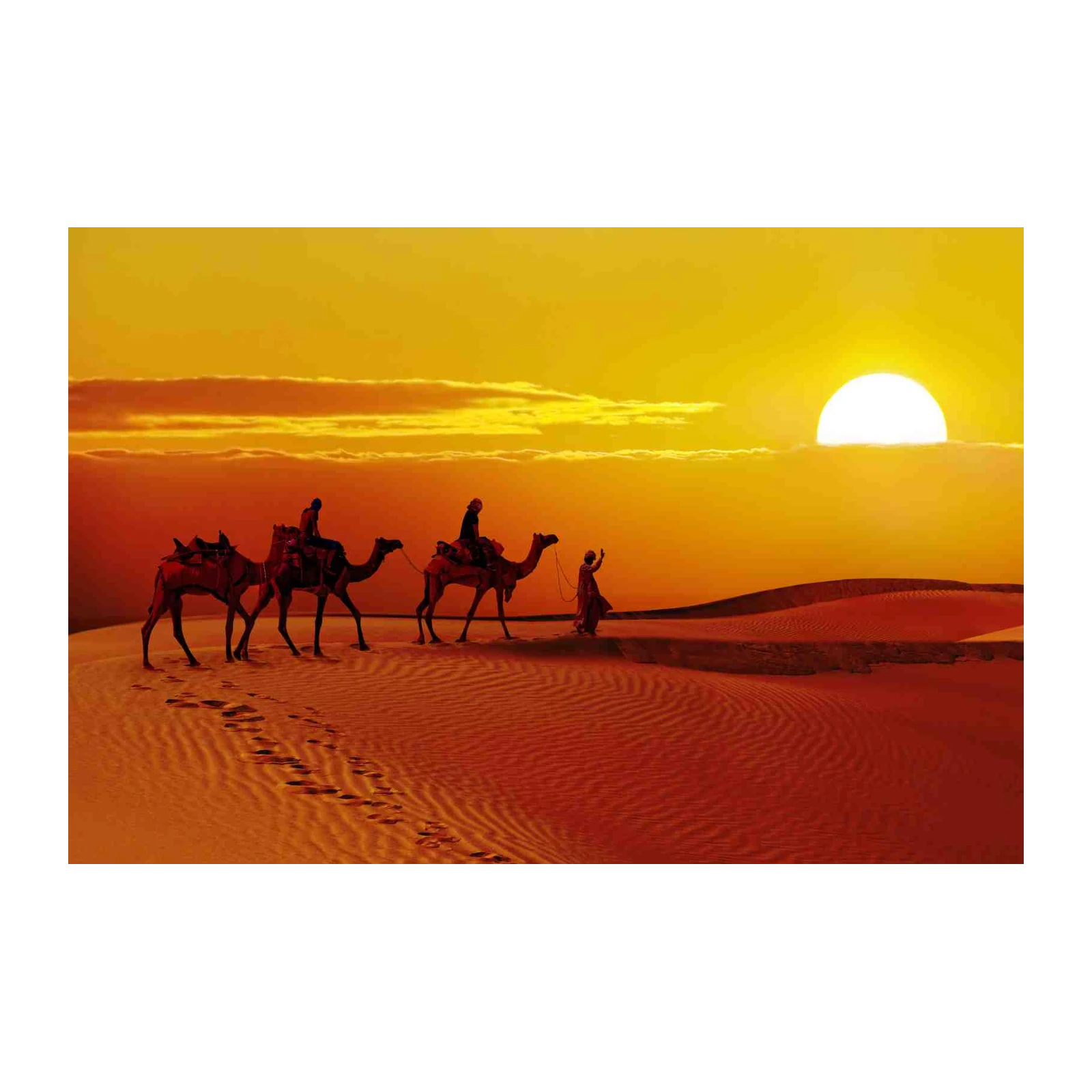 Desert Sunset Camel Caravan Wall Art