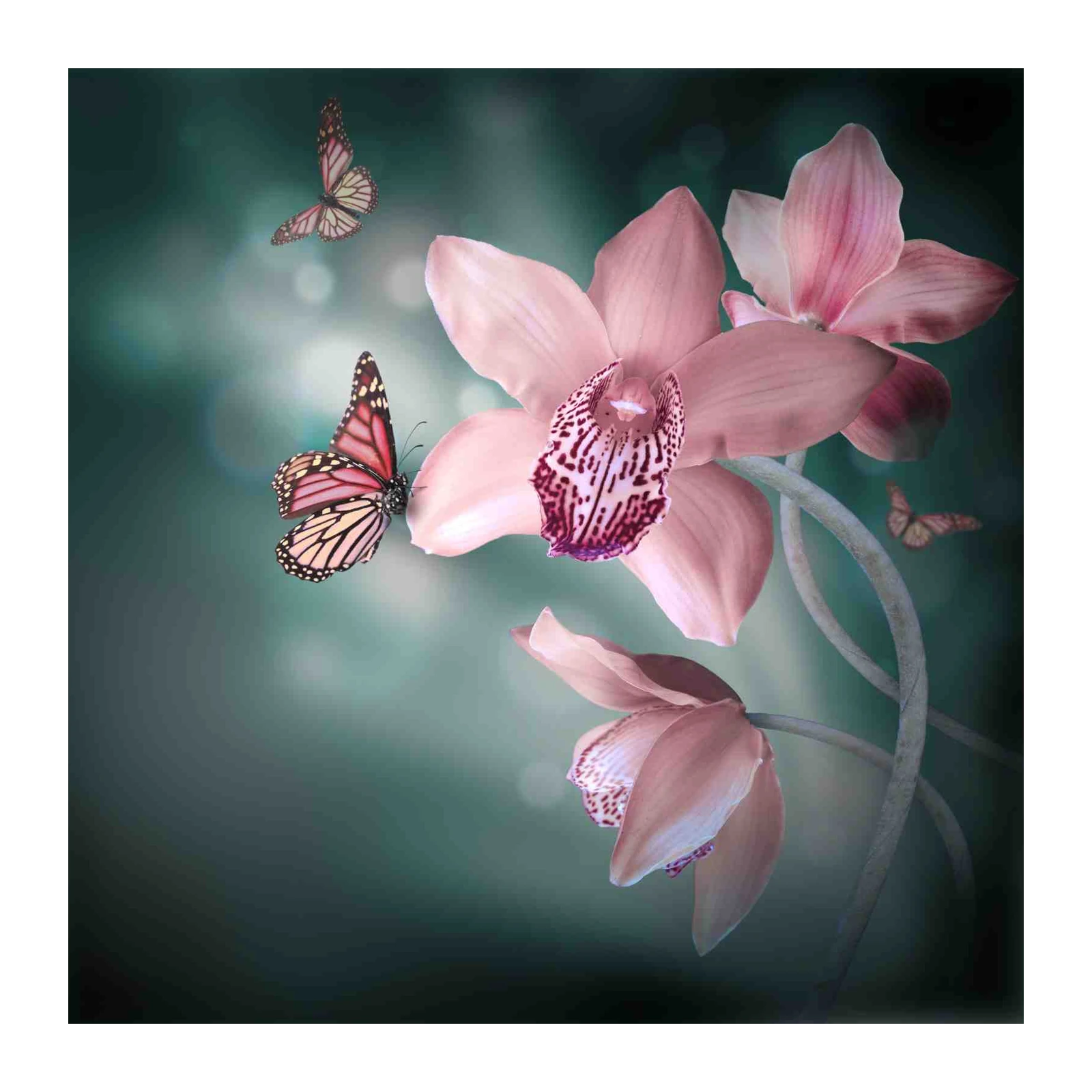 Elegant Pink Orchid & Butterfly Wall Art