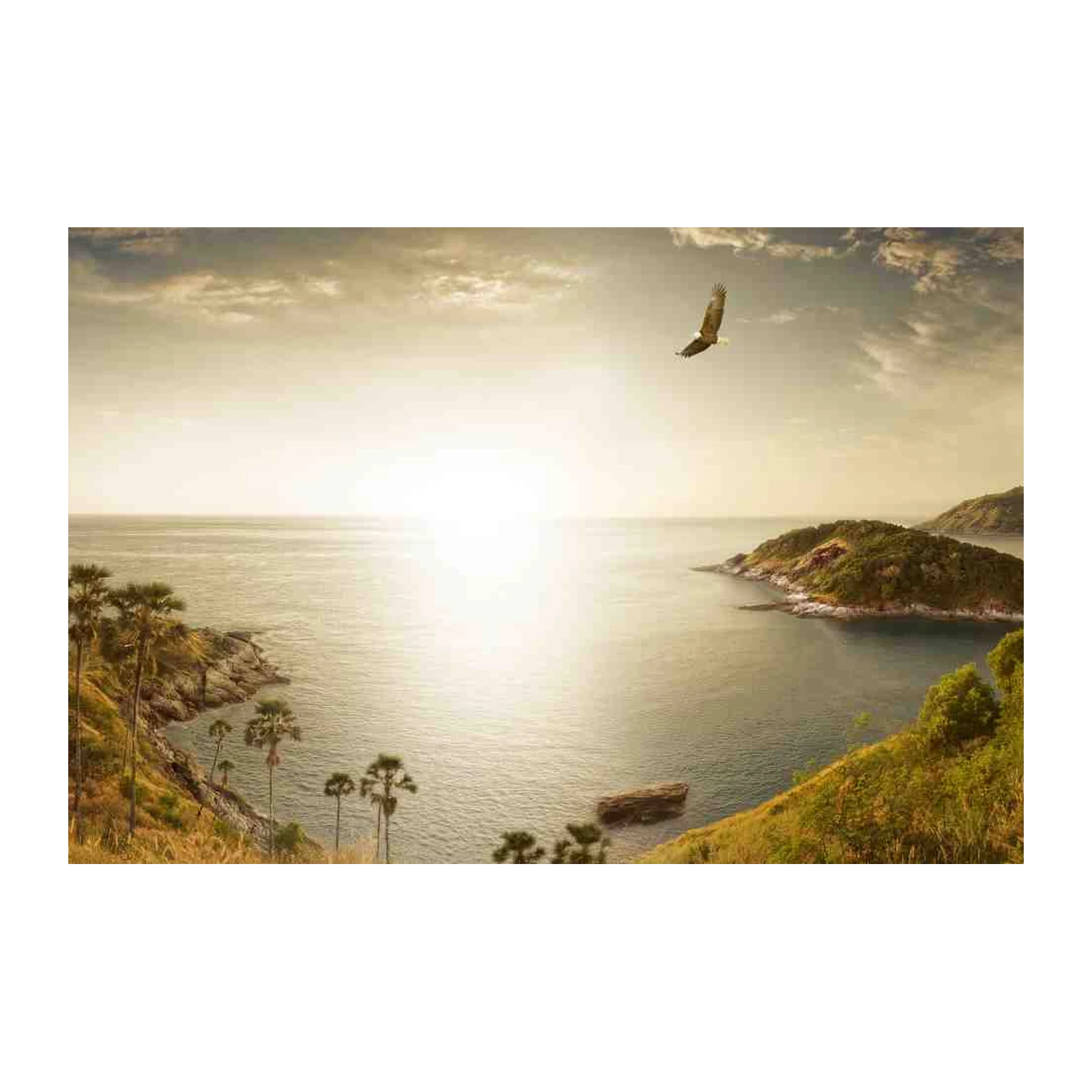 Tropical Island Eagle Sunset Wall Art