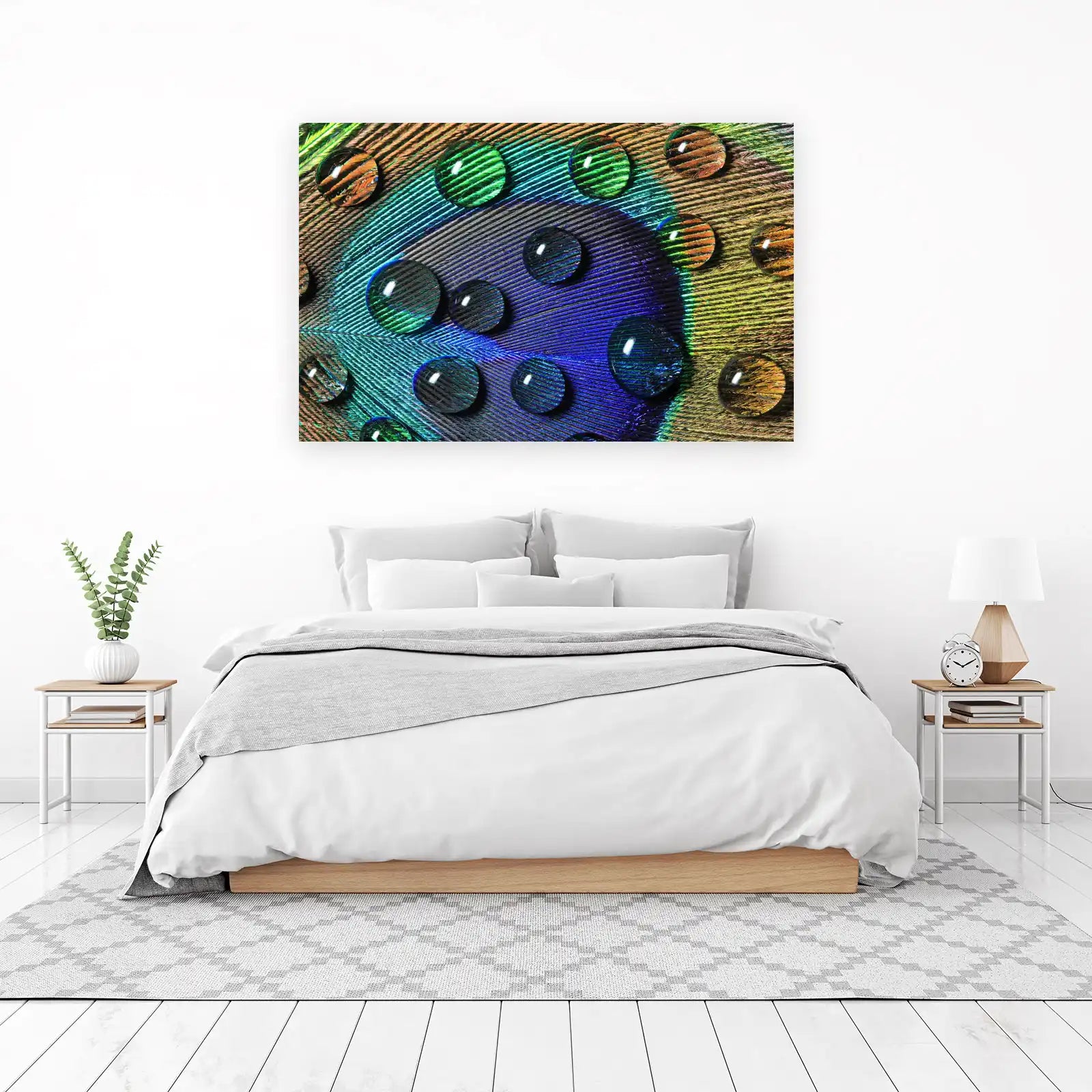 Vivid Peacock Feather Water Drops Wall Art