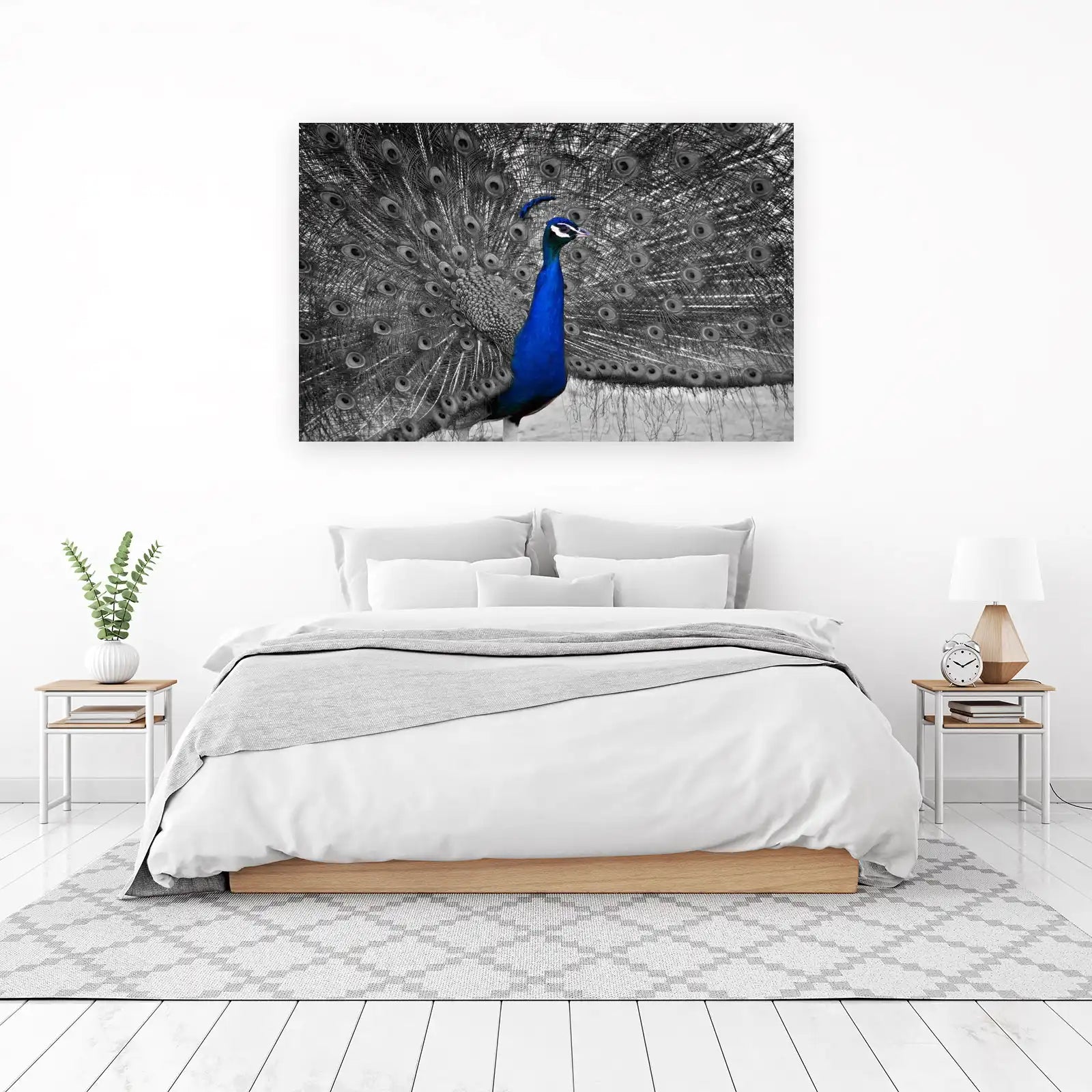 Vibrant Blue Peacock Display Wall Art