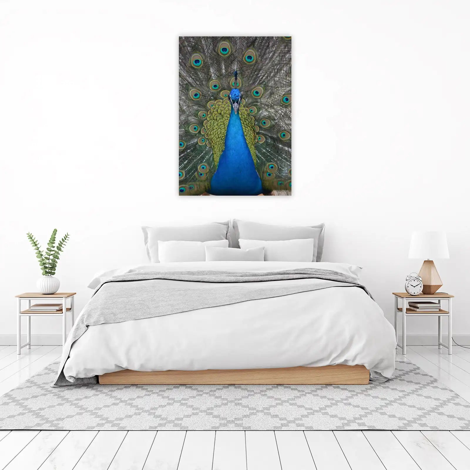 Majestic Peacock Feather Art Wall Art