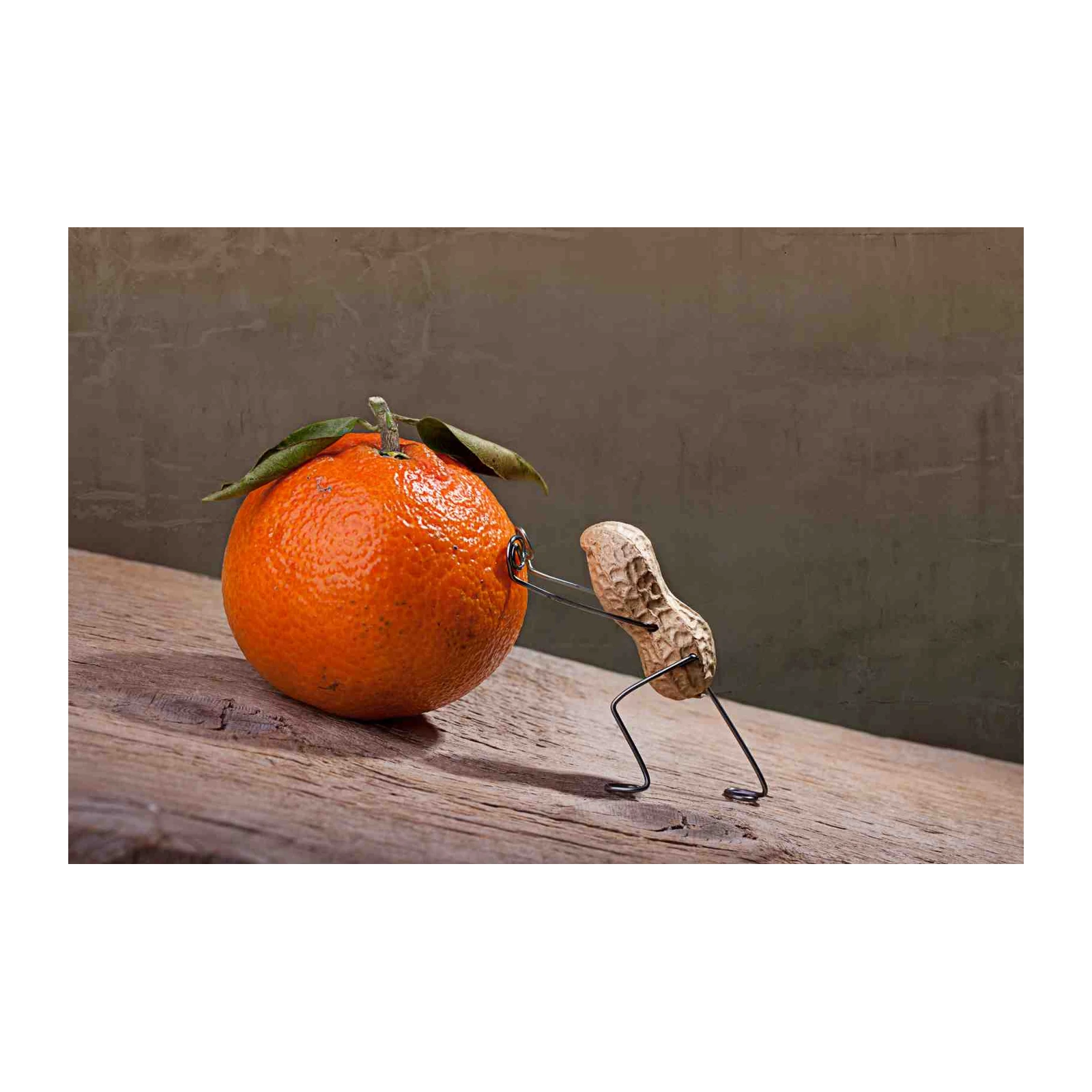 Playful Peanut Pushing Orange Wall Art
