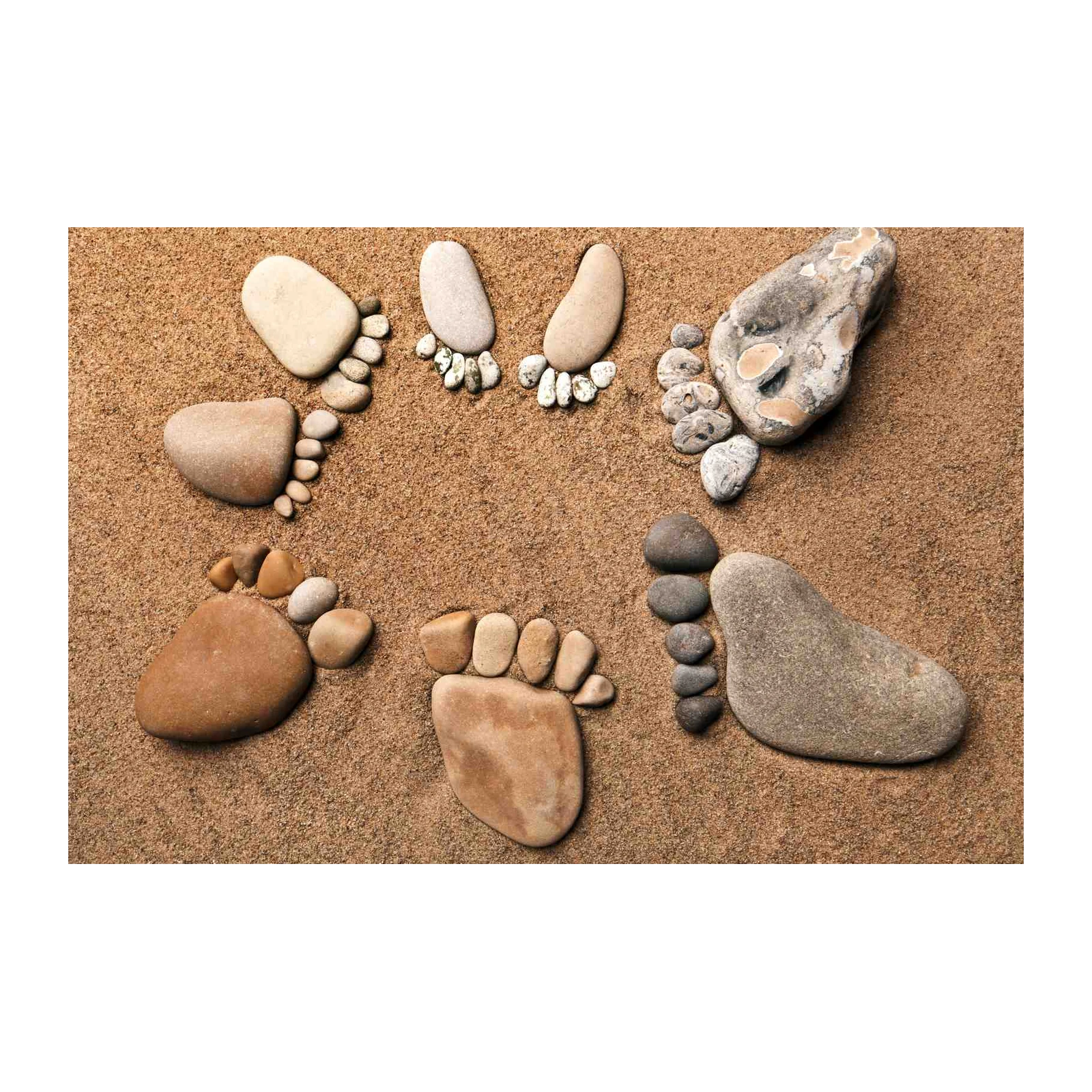 Nature's Footprints Beach Art Wall Art