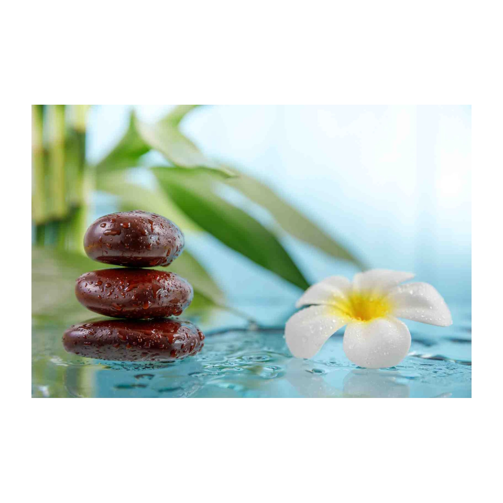 Zen Spa Stones & Flower Wall Art