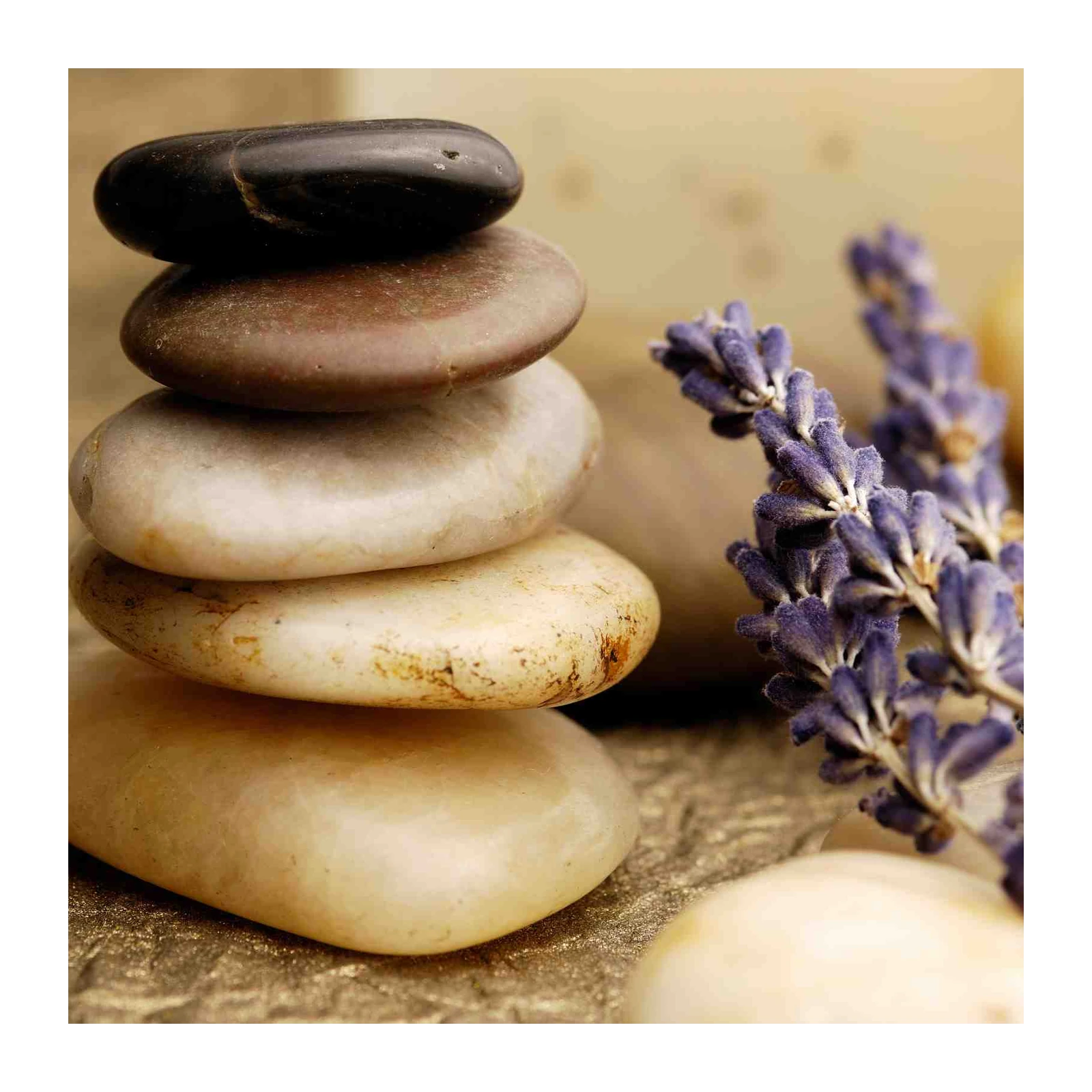 Zen Stone & Lavender Still Life Wall Art
