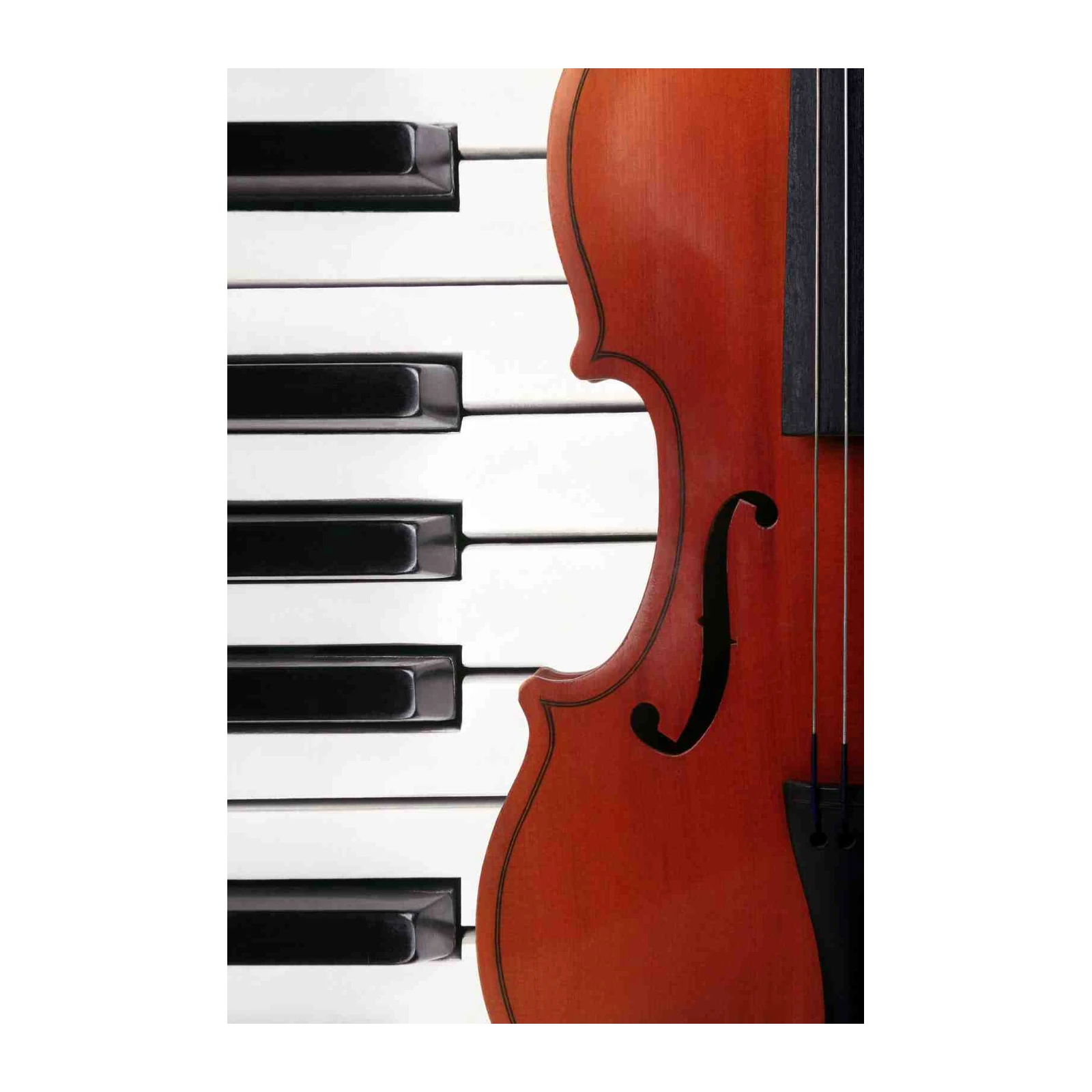 Elegant Violin & Piano Duet Wall Art