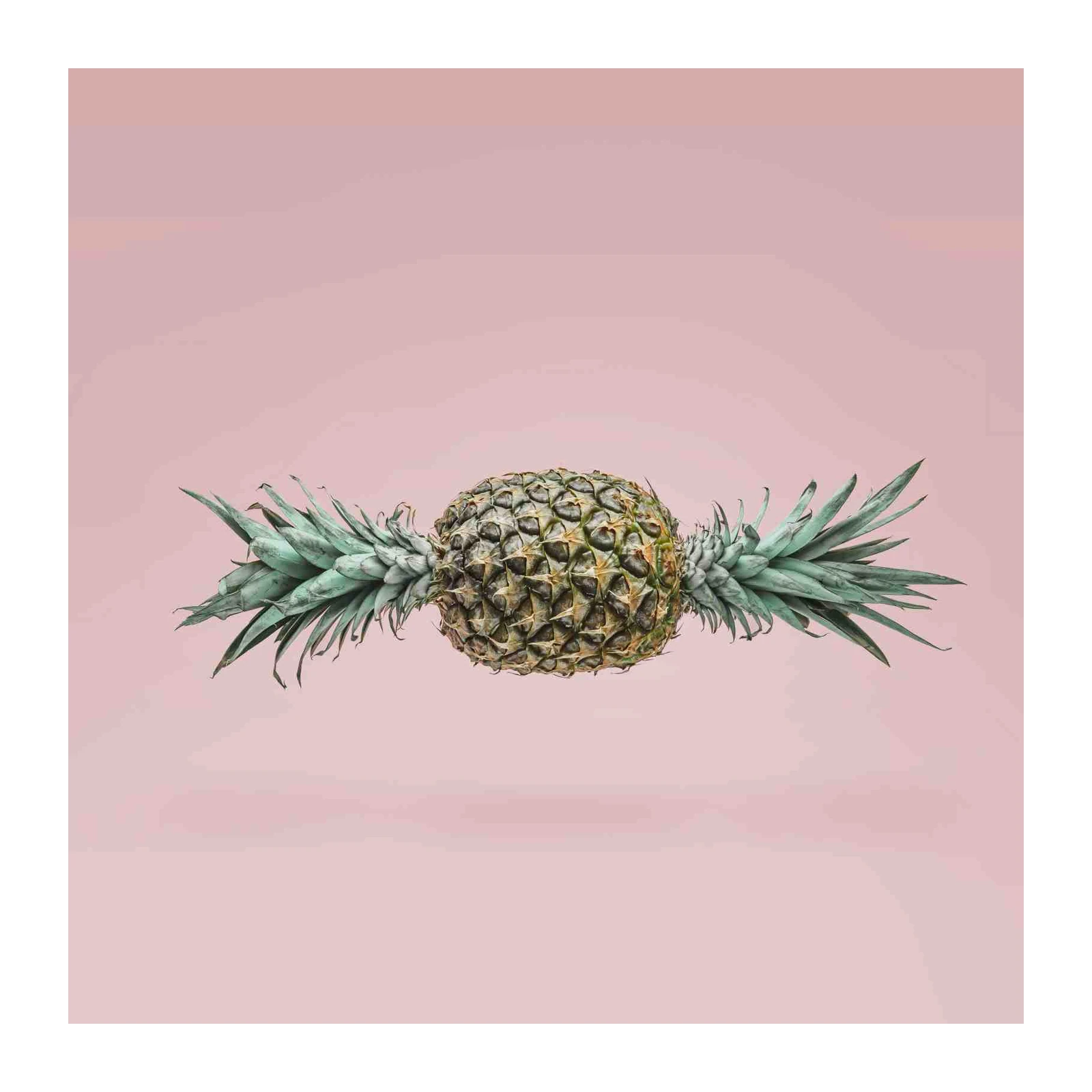 Tropical Pineapple Wall Art Wall Art