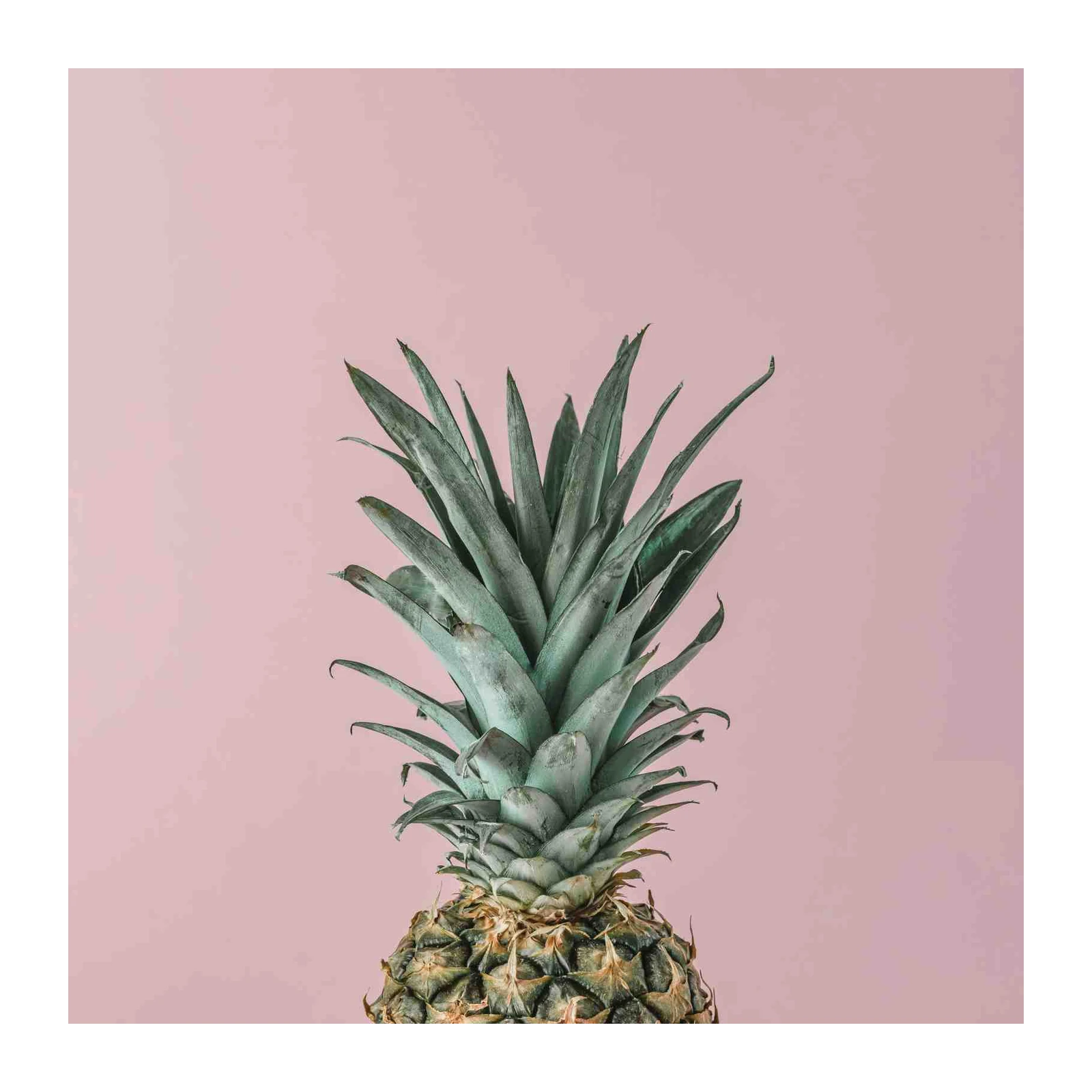 Minimalist Teal Pineapple Tropical Wall Art