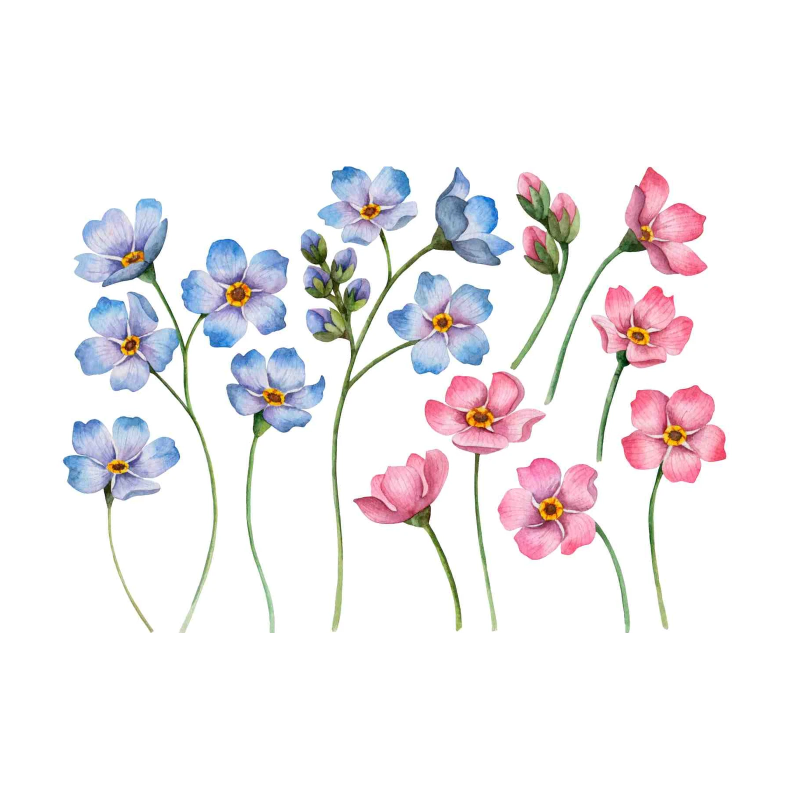 Delicate Watercolor Floral Forget-Me-Not Wall Art