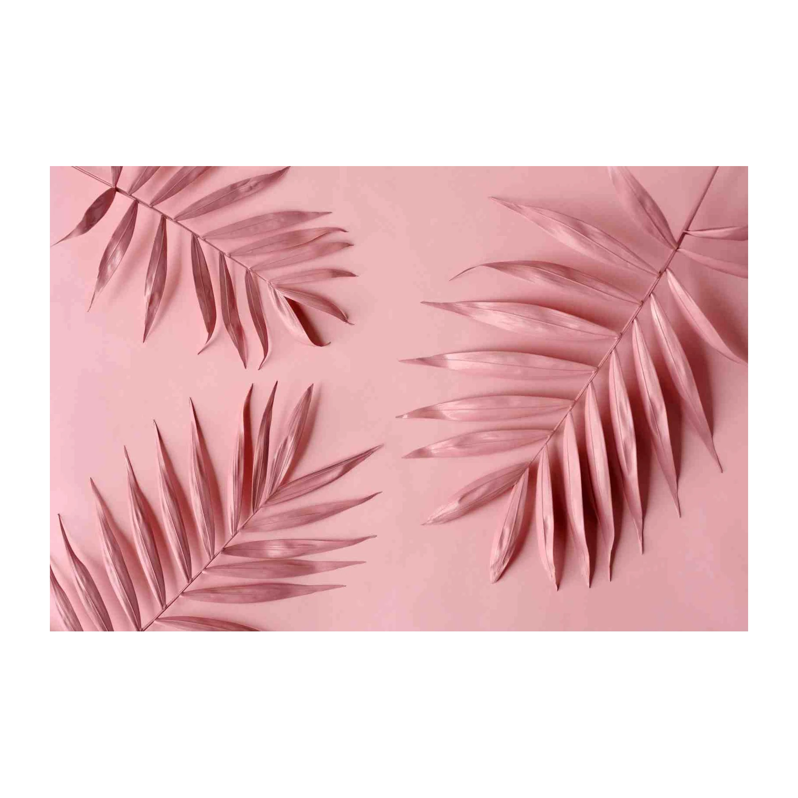 Blush Palm Fronds Modern Botanical Wall Art