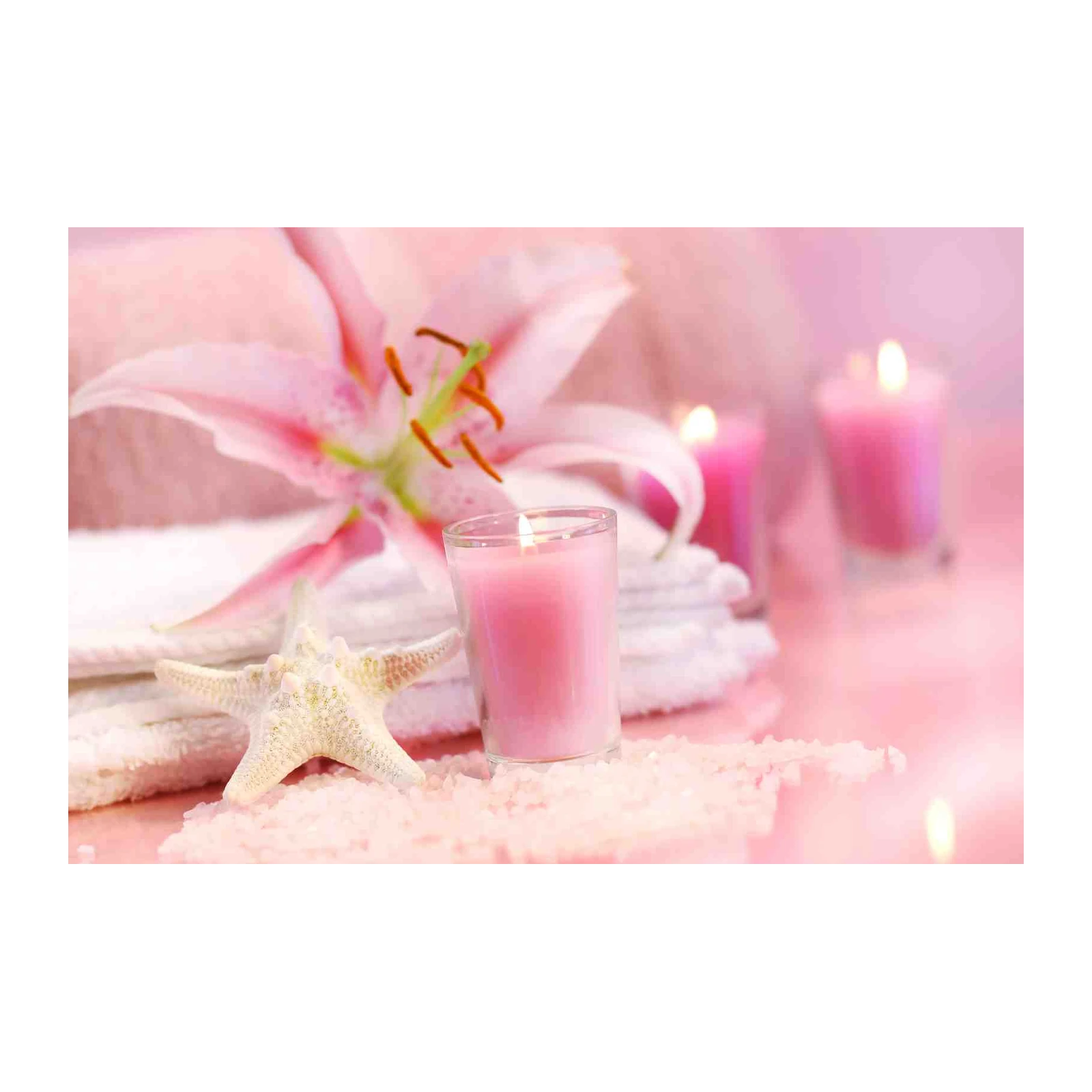 Tranquil Pink Lily & Candle Spa Wall Art