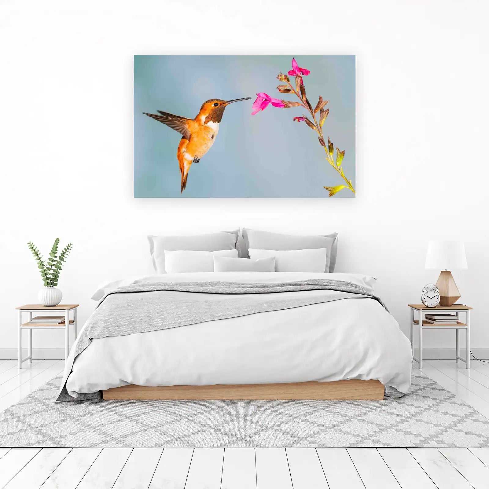 Vibrant Hummingbird & Pink Flower Wall Art