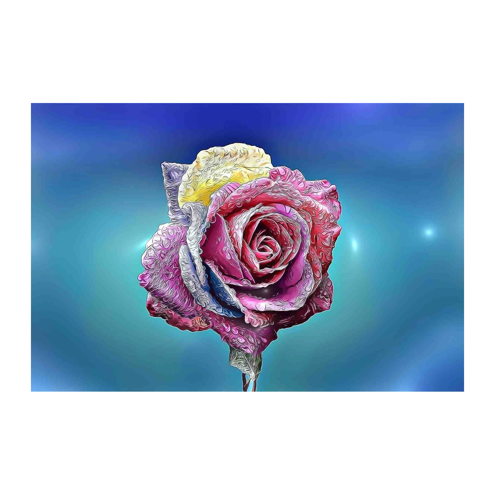 Vibrant Multi-Color Rose Wall Art for Home Decor