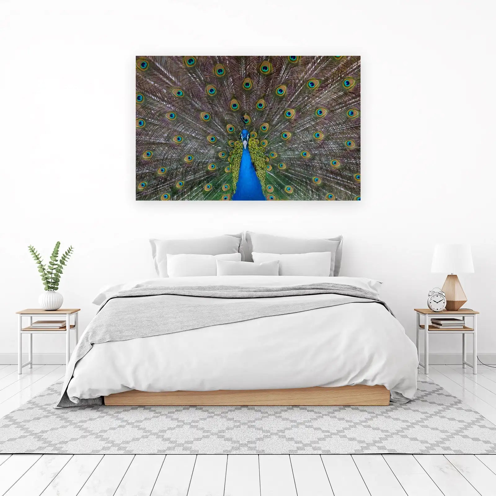 Majestic Peacock Feather Display Wall Art