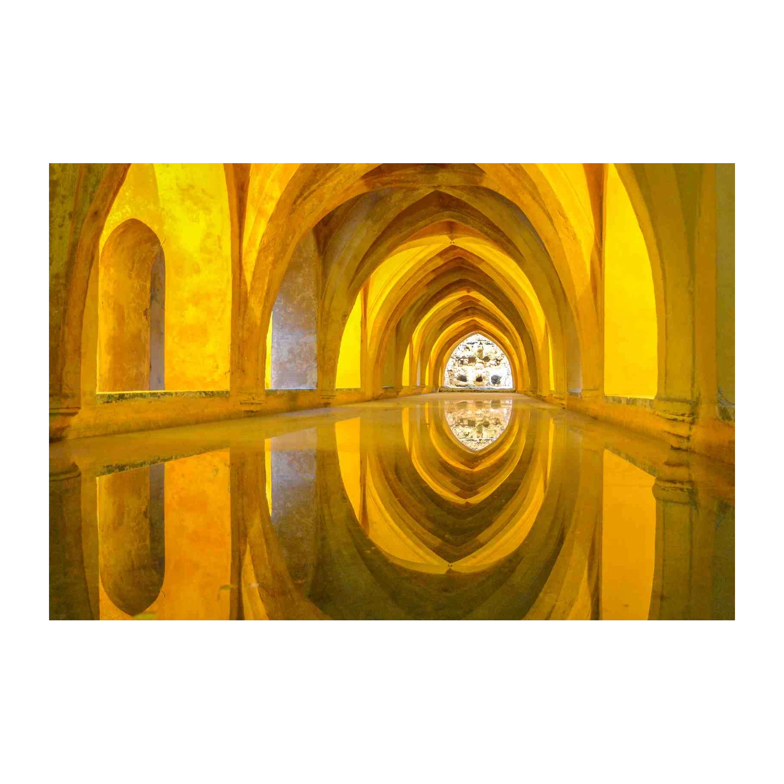 Golden Arches & Reflections Wall Art