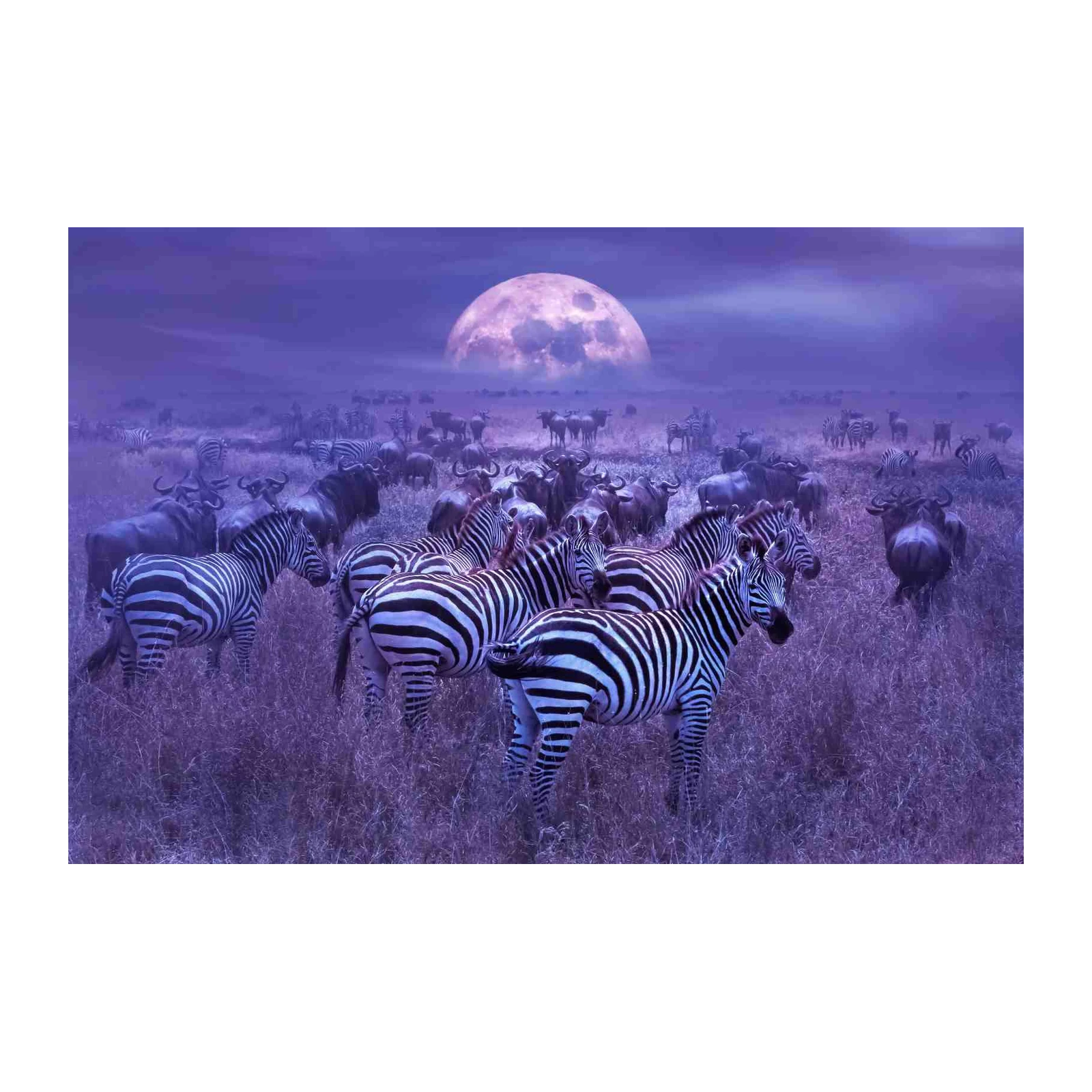 Majestic Moonlit Zebras & Wildebeest Wall Art
