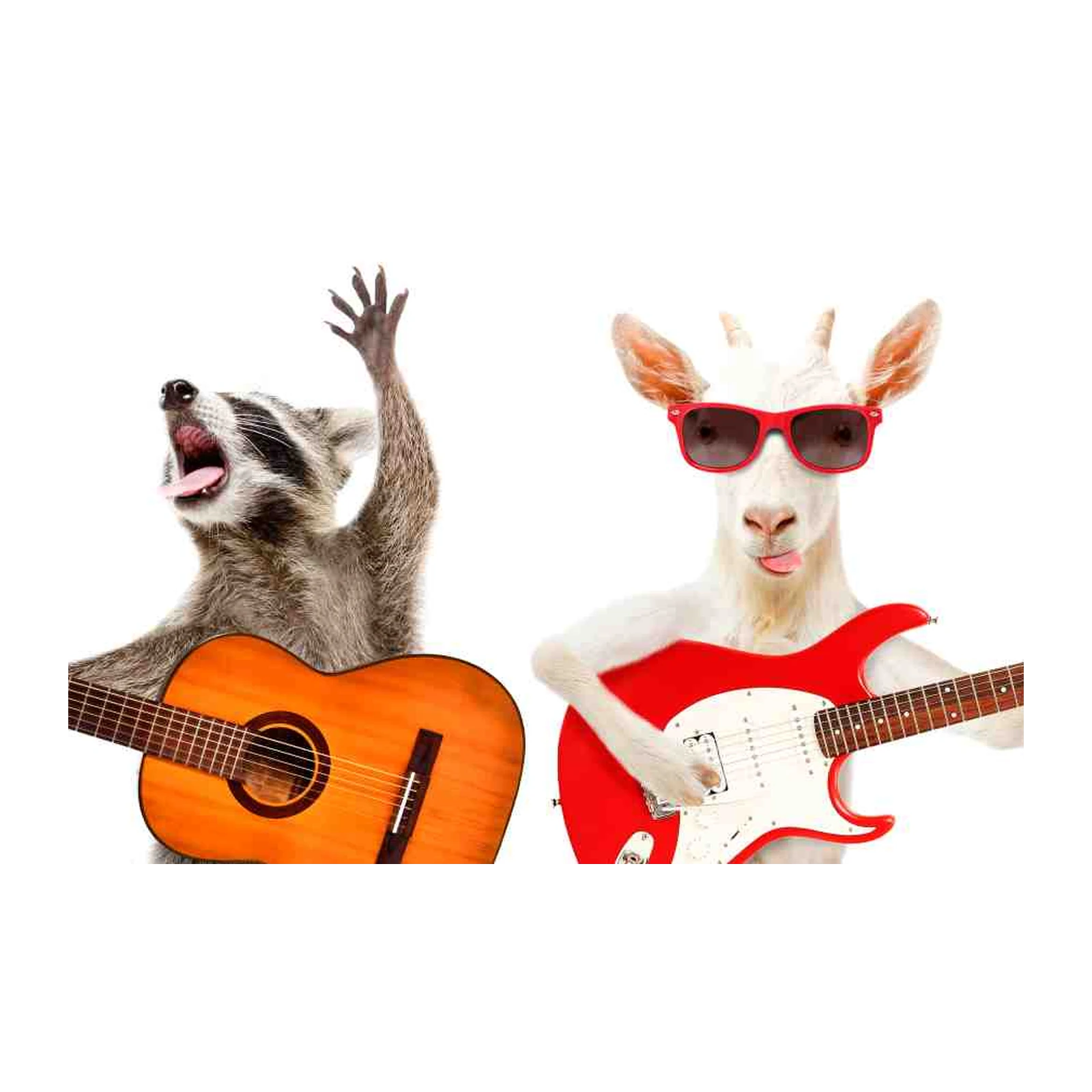 Rockstar Raccoon & Goat Band Wall Art