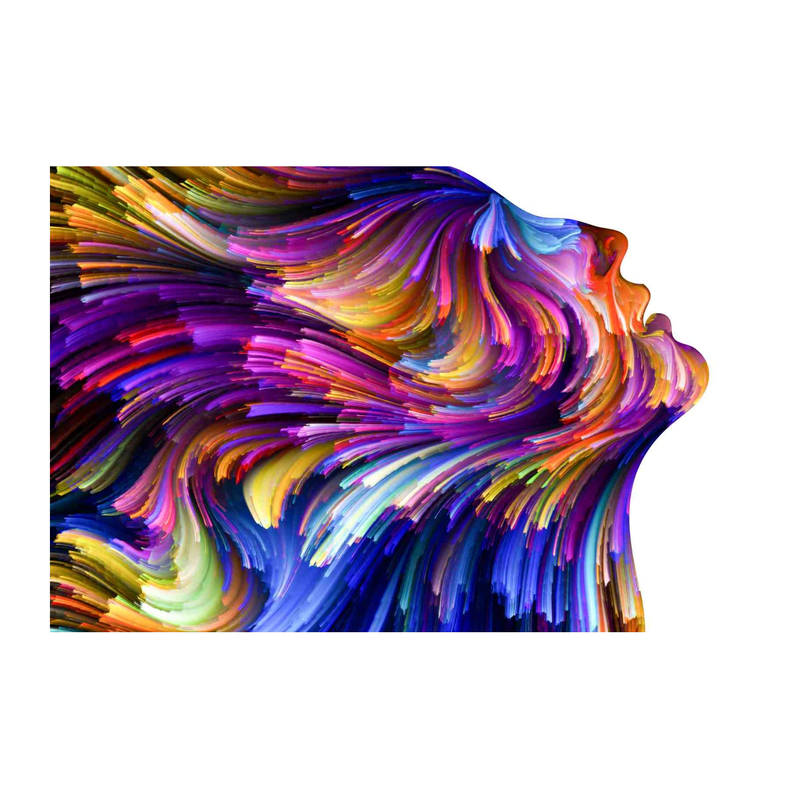 Vibrant Abstract Face Splash Wall Art