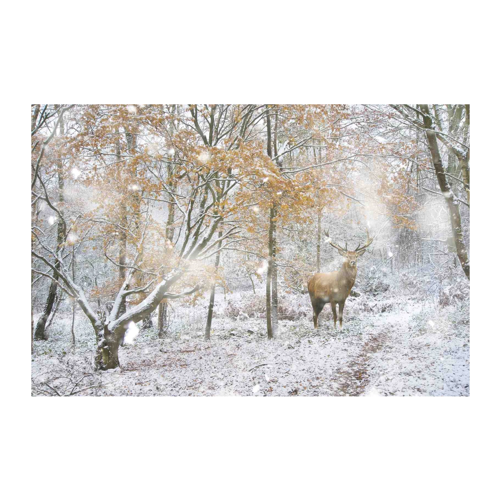 Majestic Stag in Snowy Forest Wall Art