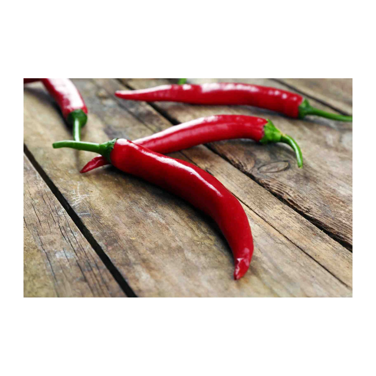 Vibrant Red Chili Pepper Rustic Wood Wall Art