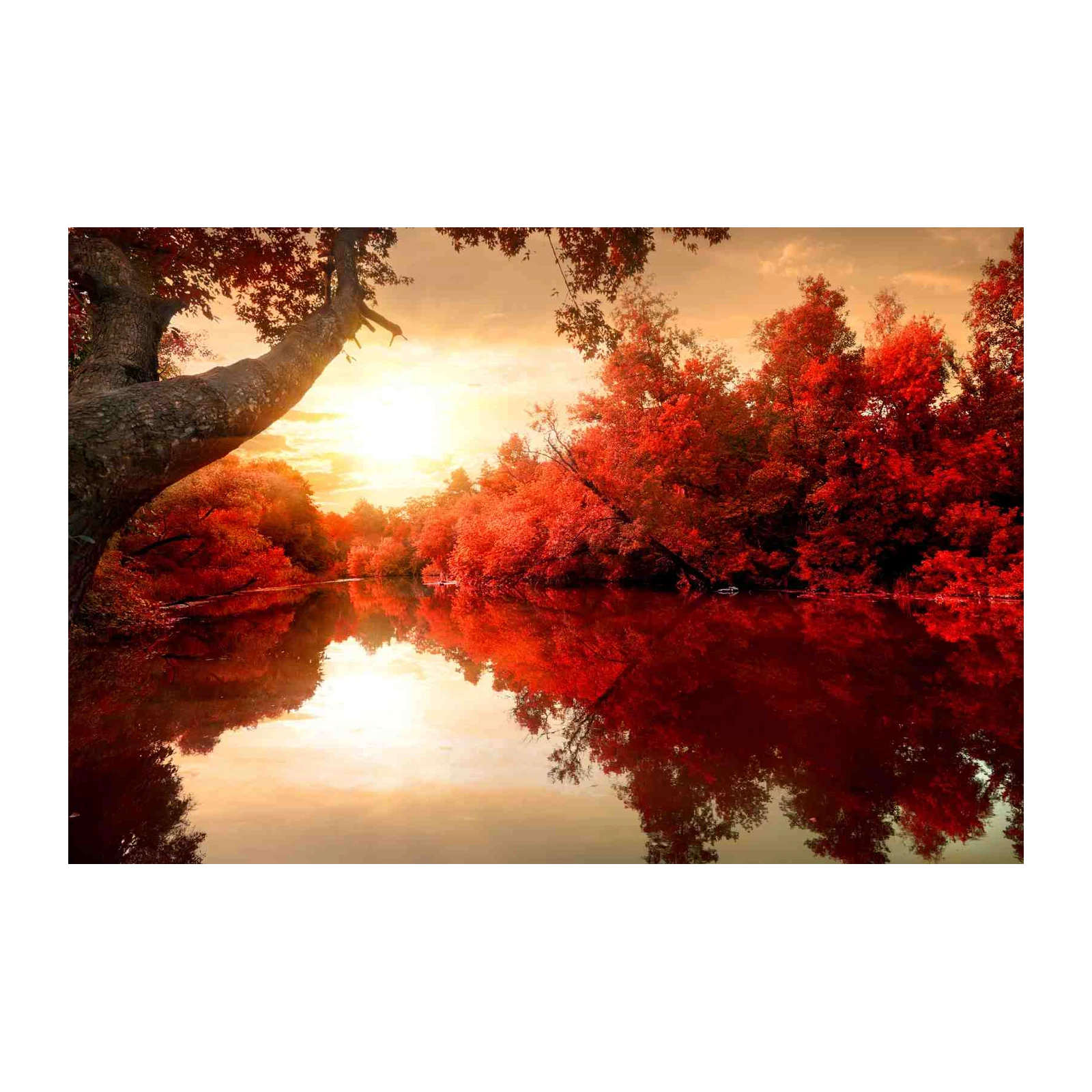 Fiery Autumn River Sunset Wall Art