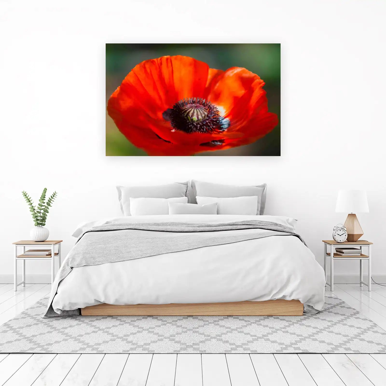 Vibrant Poppy Bloom Close-Up Wall Art