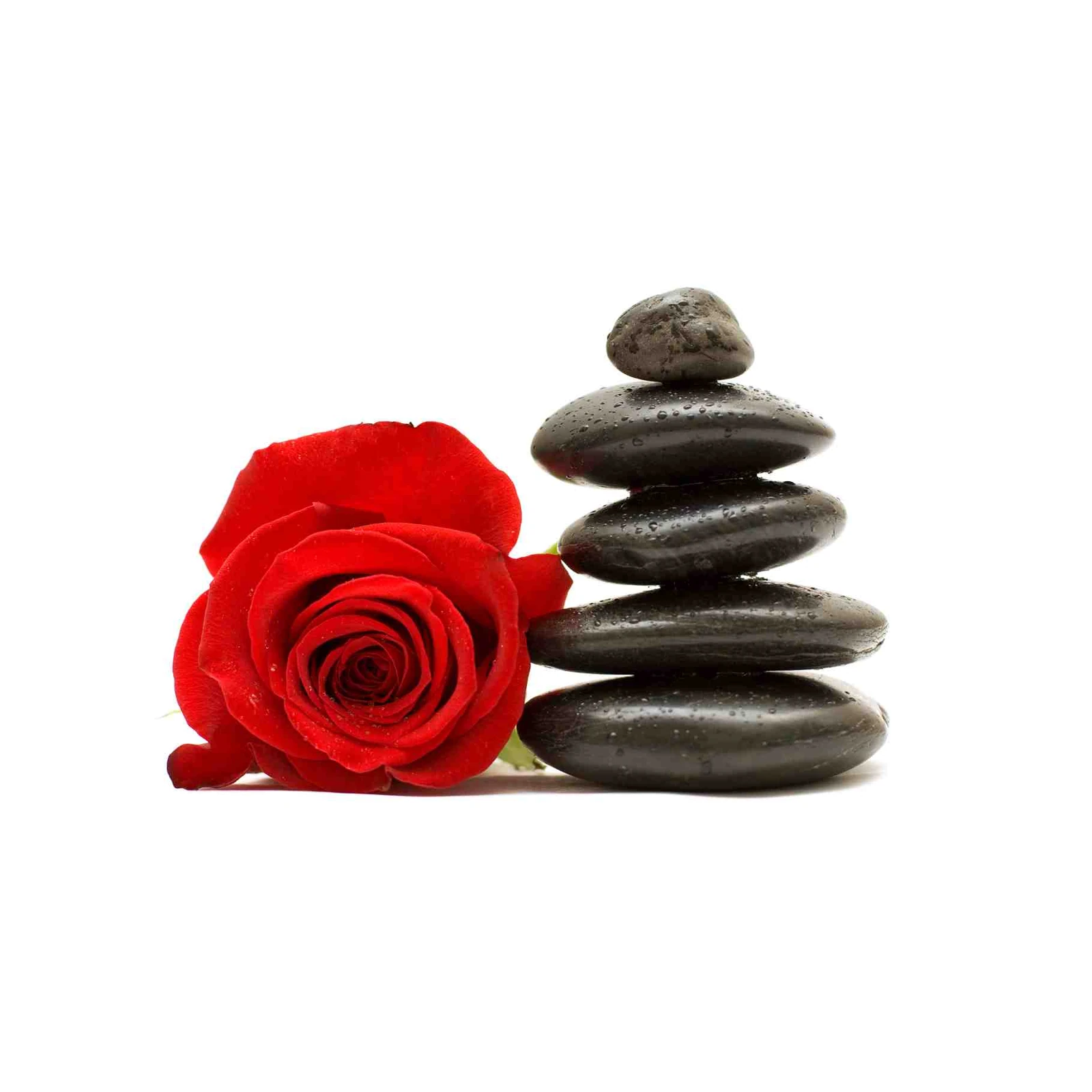 Zen Rose & Hot Stone Zen Wall Art