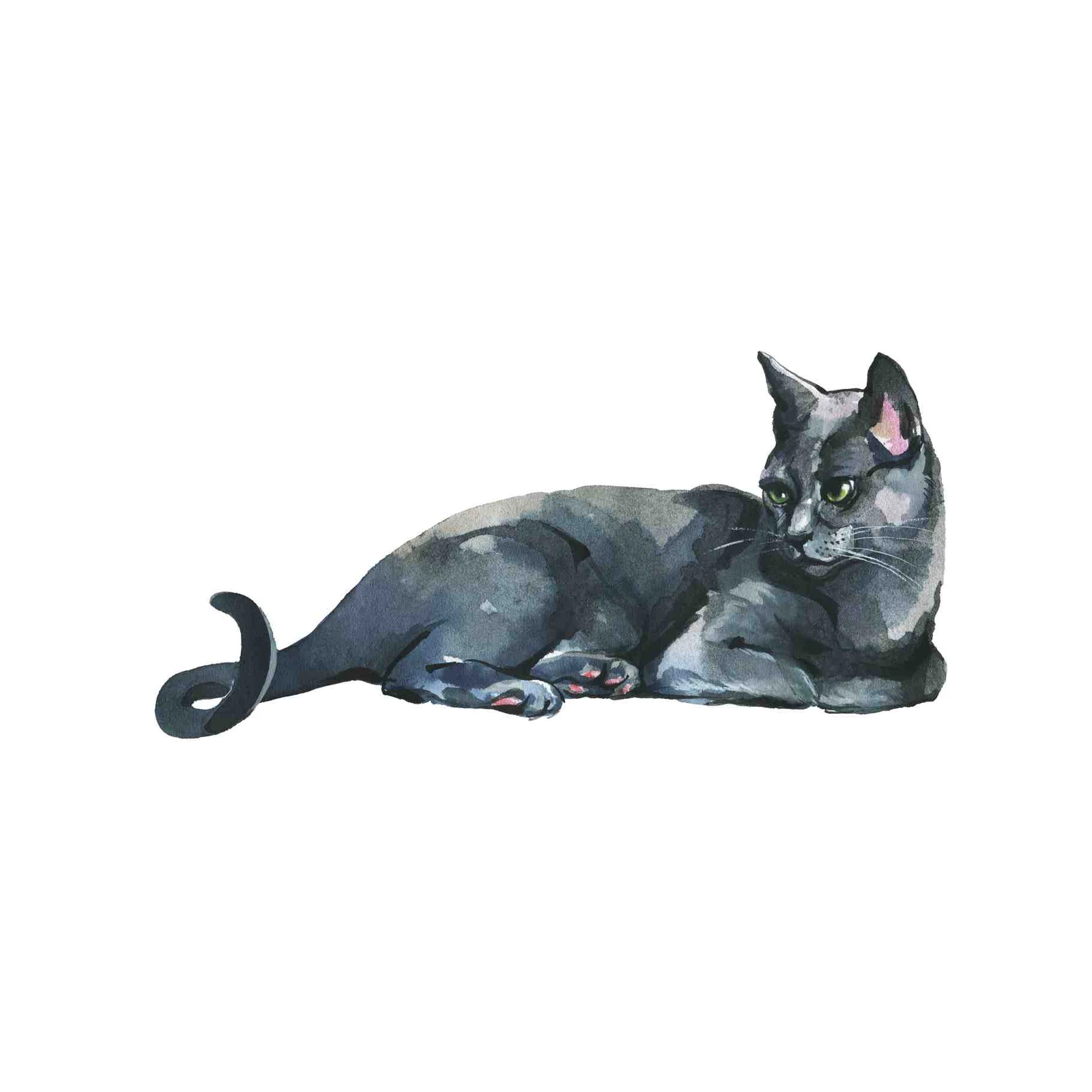 Elegant Gray Cat Watercolor Wall Art