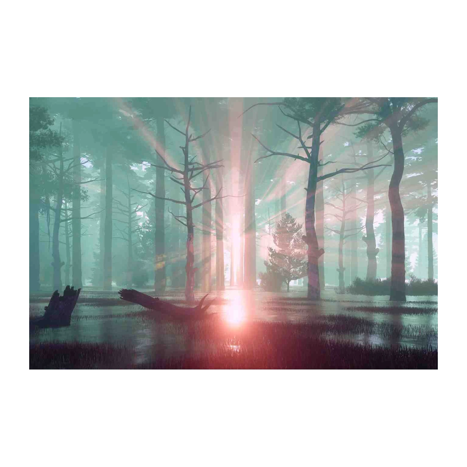 Mystical Forest Sunbeam Wall Art