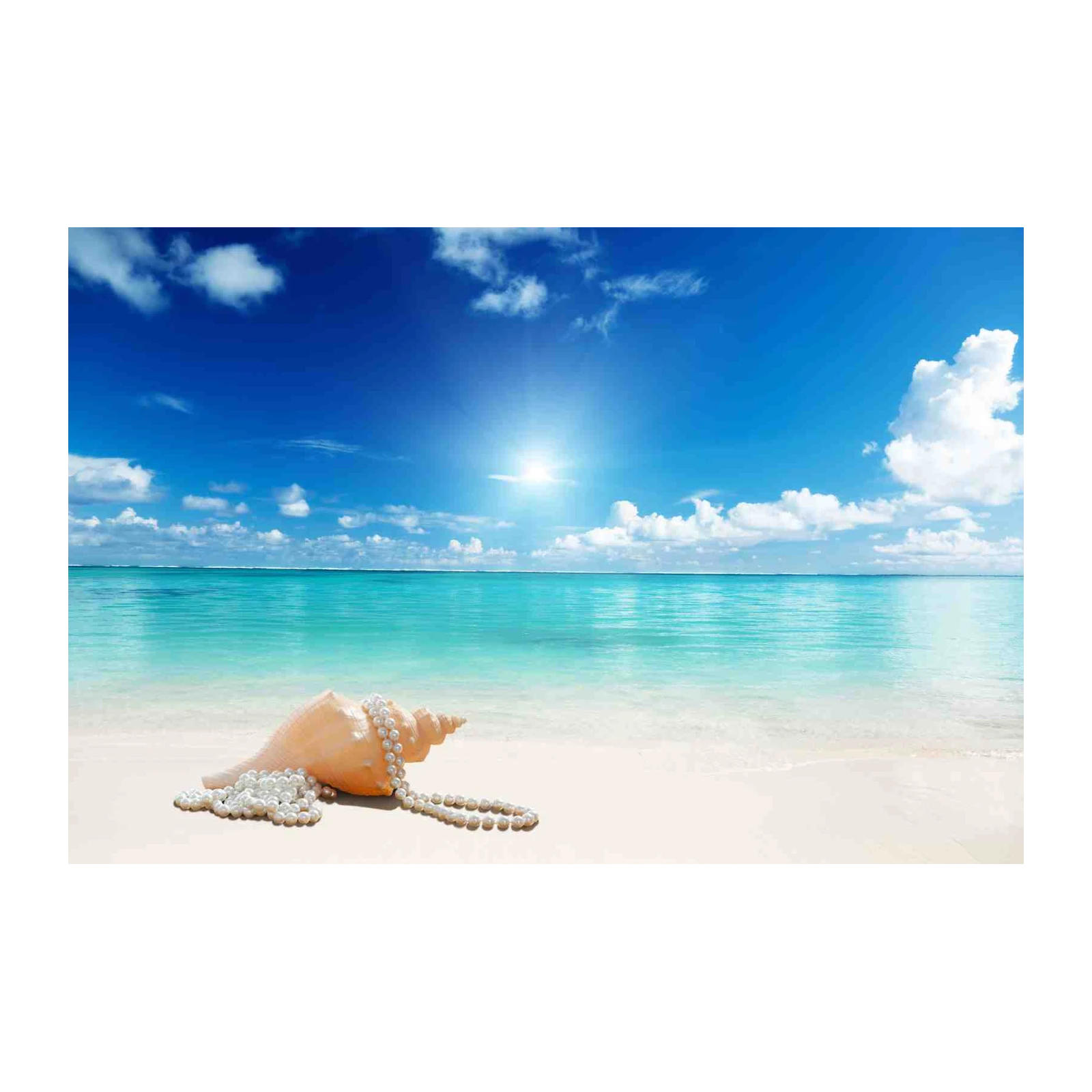 Serene Seashell & Pearl Beach Wall Art