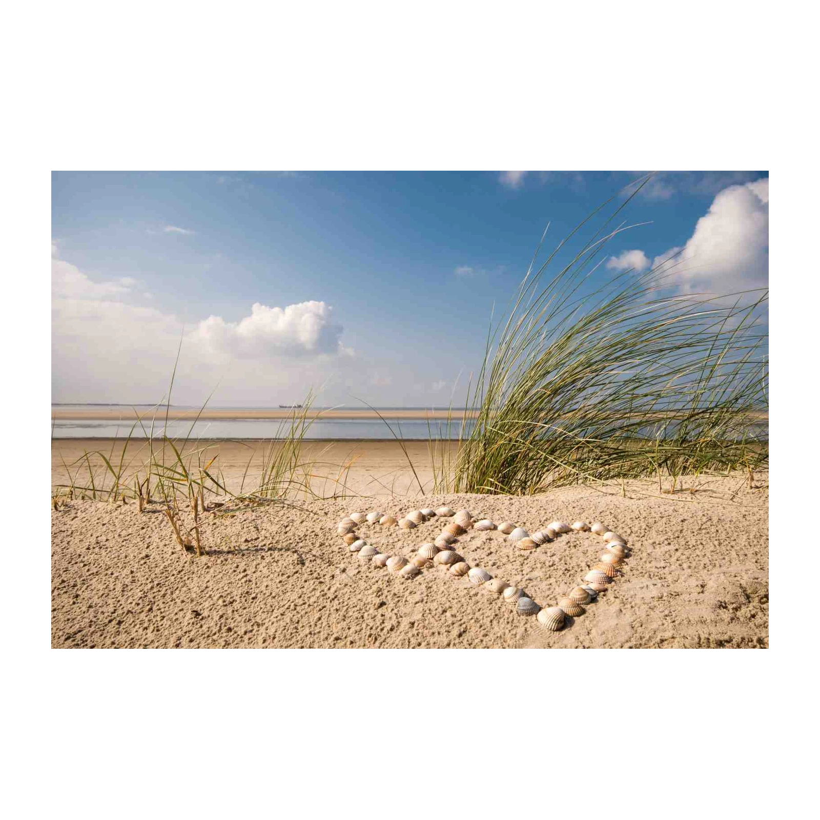 Beach Heart Shells Coastal Tranquility Wall Art