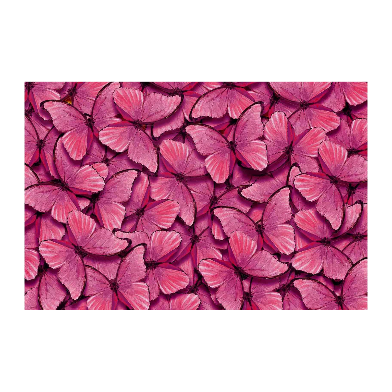 Vibrant Pink Butterfly Swarm Wall Art