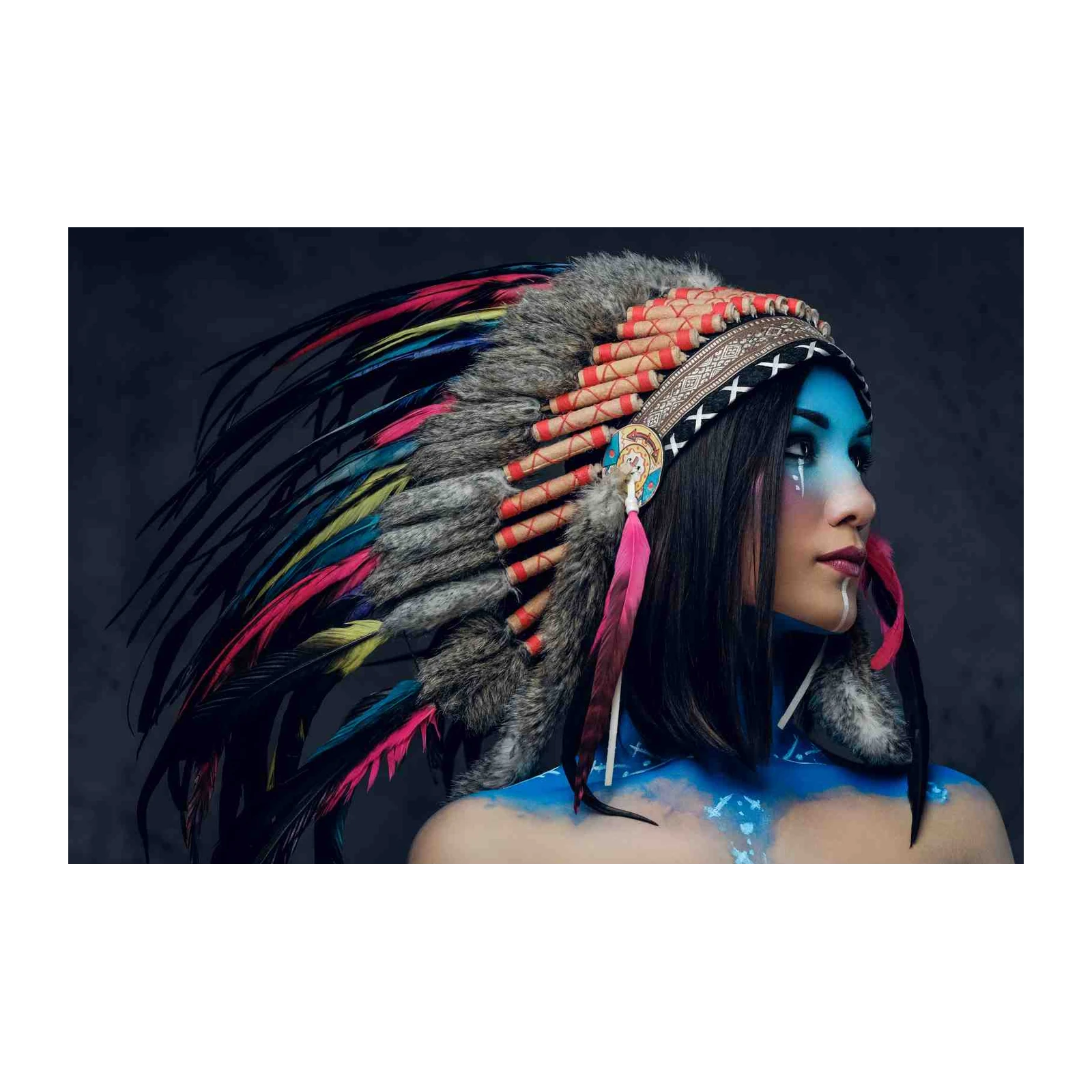 Vibrant Native Headdress Woman Wall Art Wall Art