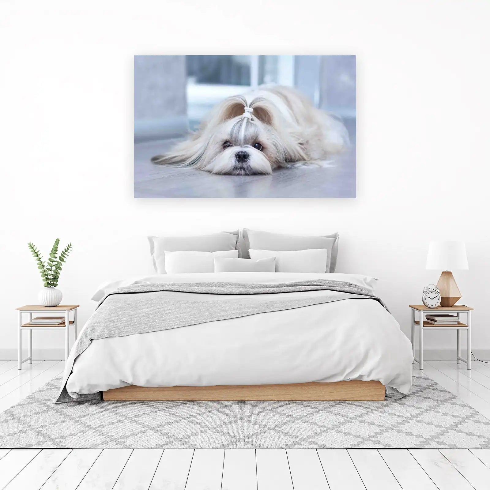 Adorable Shih Tzu Portrait Wall Art