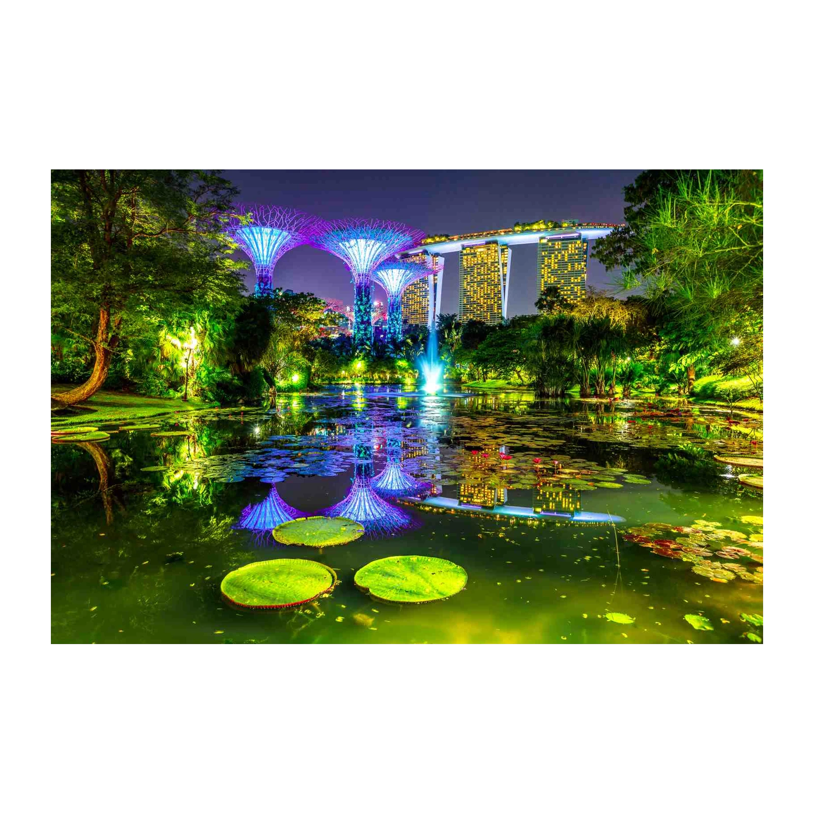 Magical Singapore Gardens by the Bay Wall Art