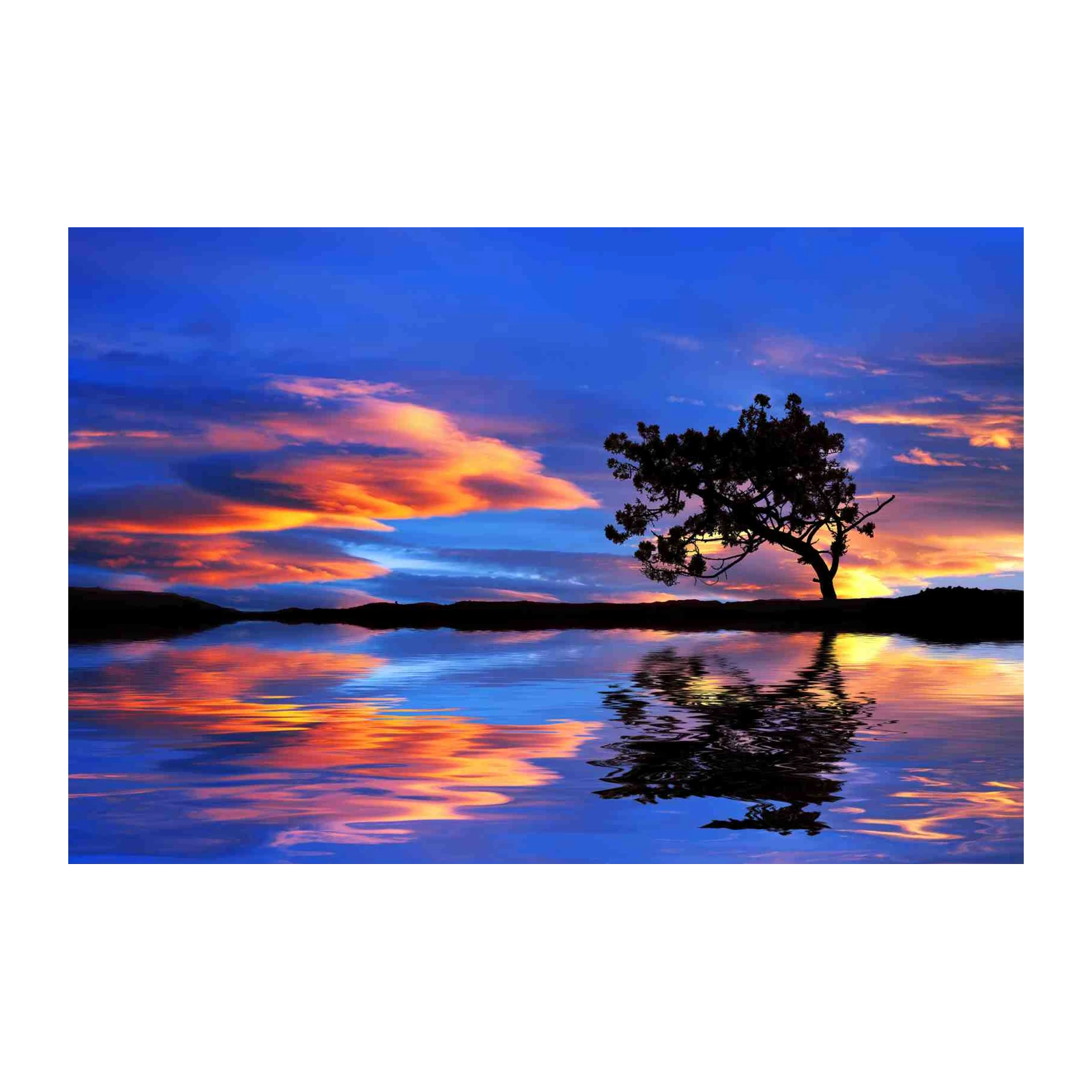 Serene Sunset Tree Reflection Wall Art