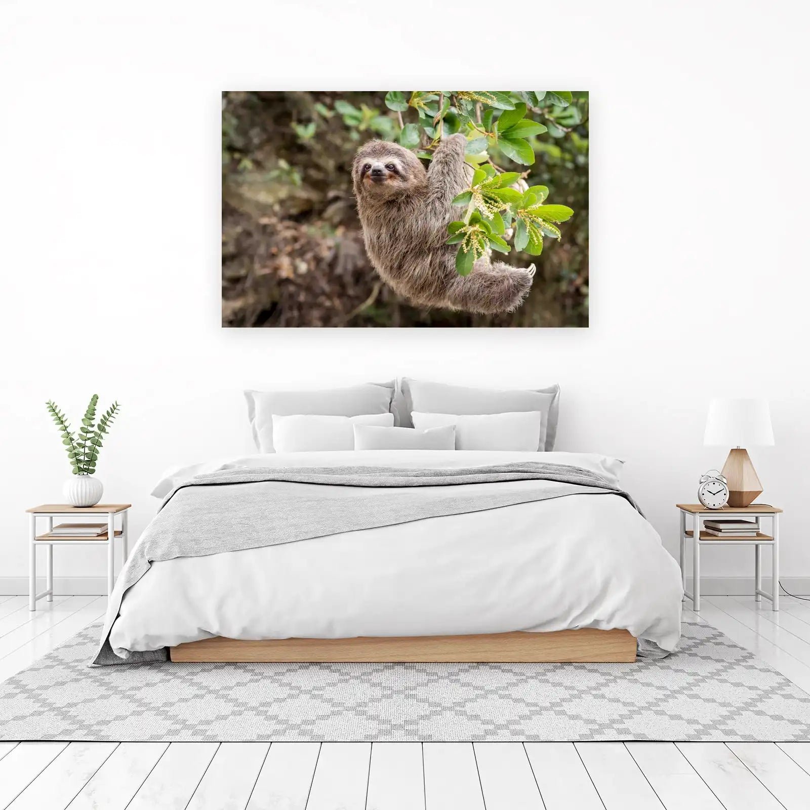 Adorable Sloth Hanging Wall Art for Nature Lovers
