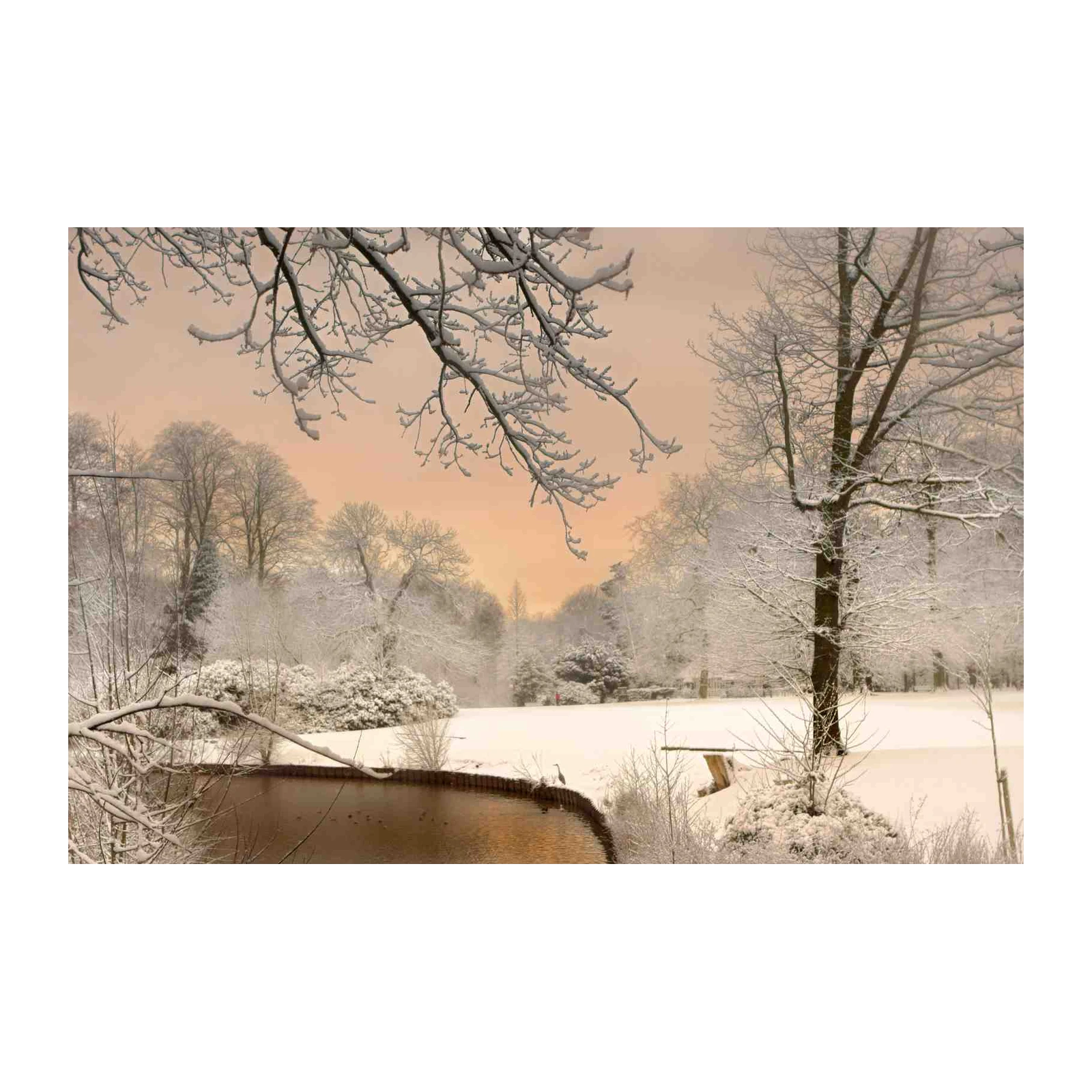 Serene Winter Landscape Pond Wall Art