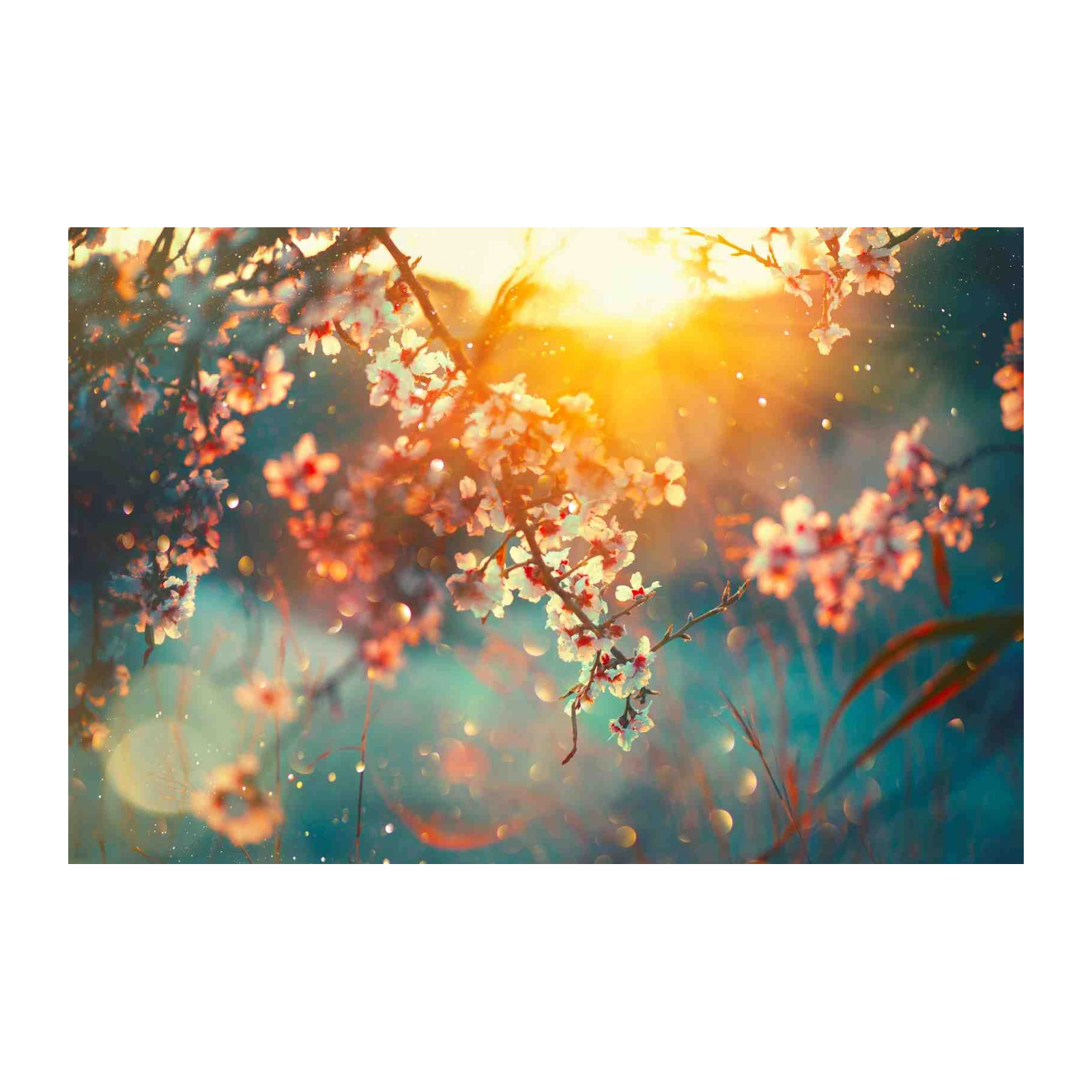 Dreamy Cherry Blossom Sunset Wall Art