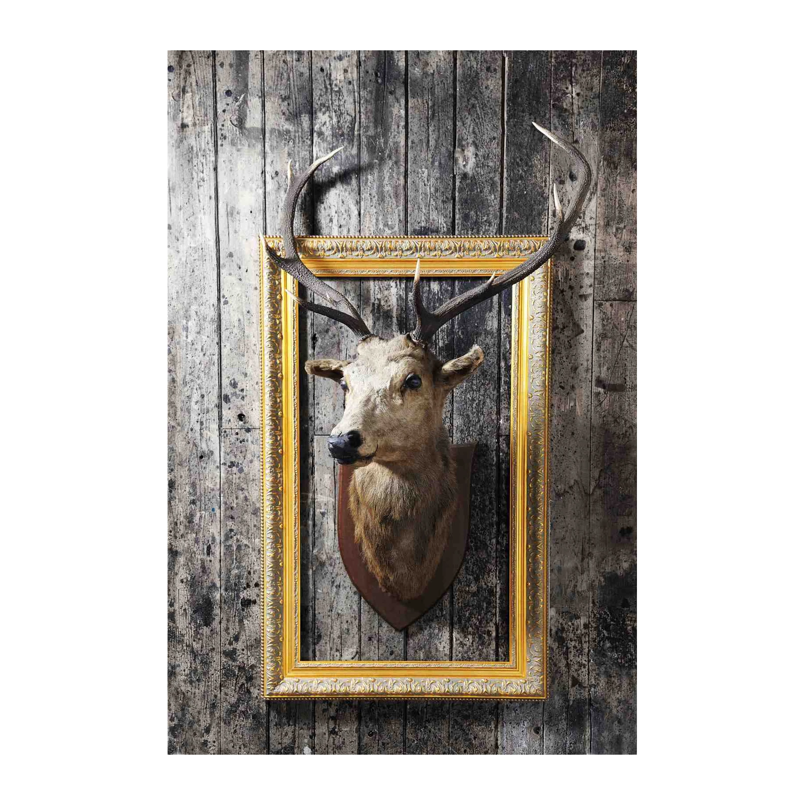 Majestic Stag Head Gold Frame Wall Art