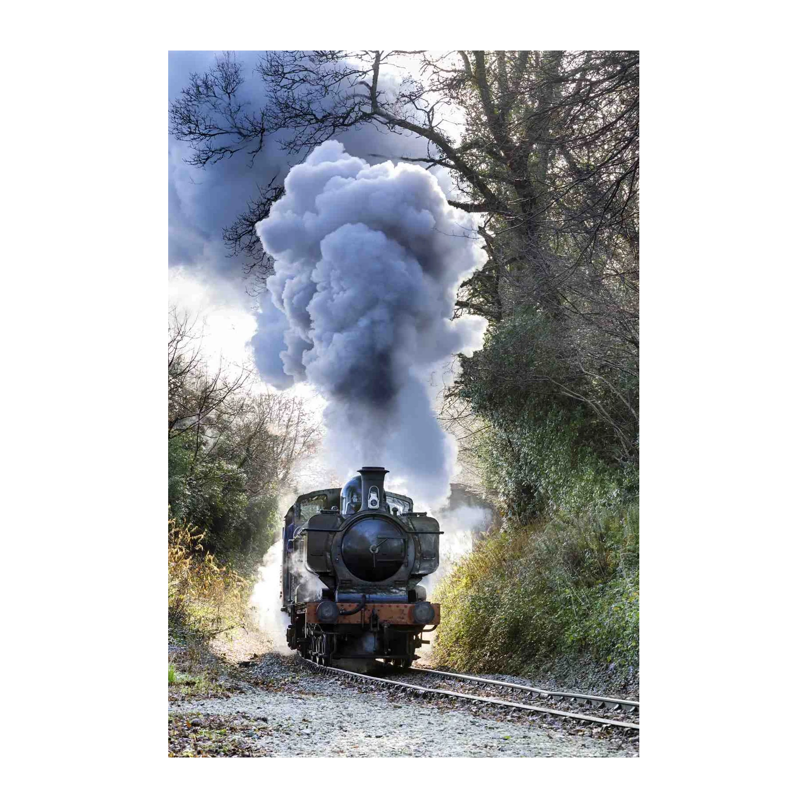 Vintage Steam Train Billowing Smoke Wall Art