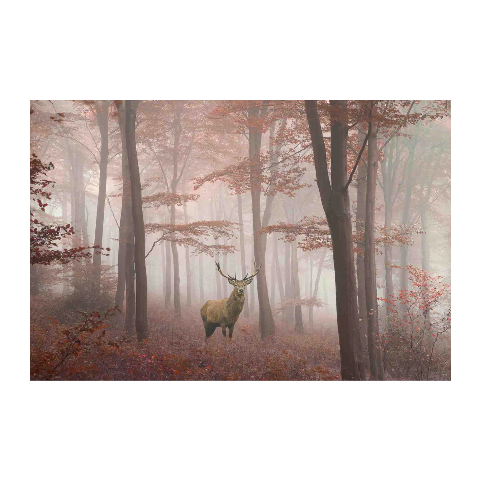 Misty Forest Stag Wall Art Wall Art