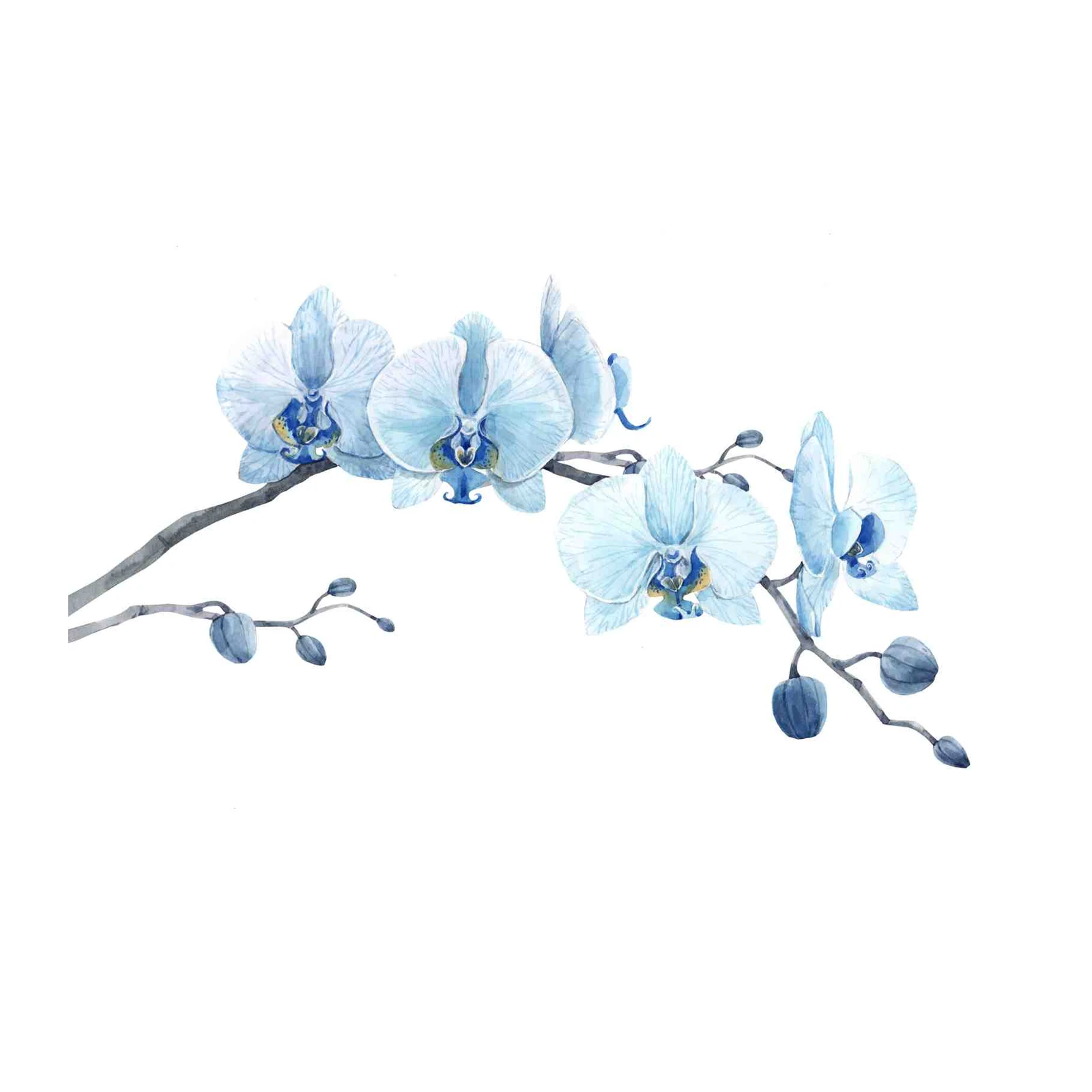 Serene Blue Orchid Botanical Wall Art