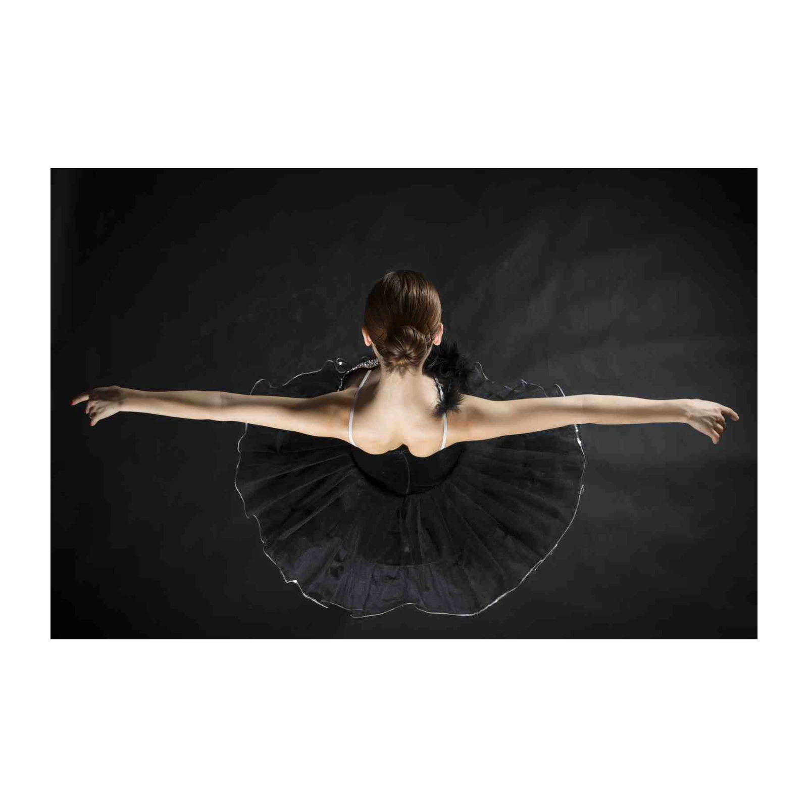 Elegant Black Swan Ballet Dancer Wall Art